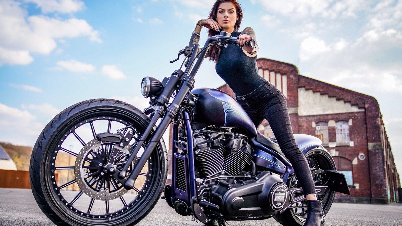 ,  , , harley-davidson, nighttrain, thunderbike, ben ott