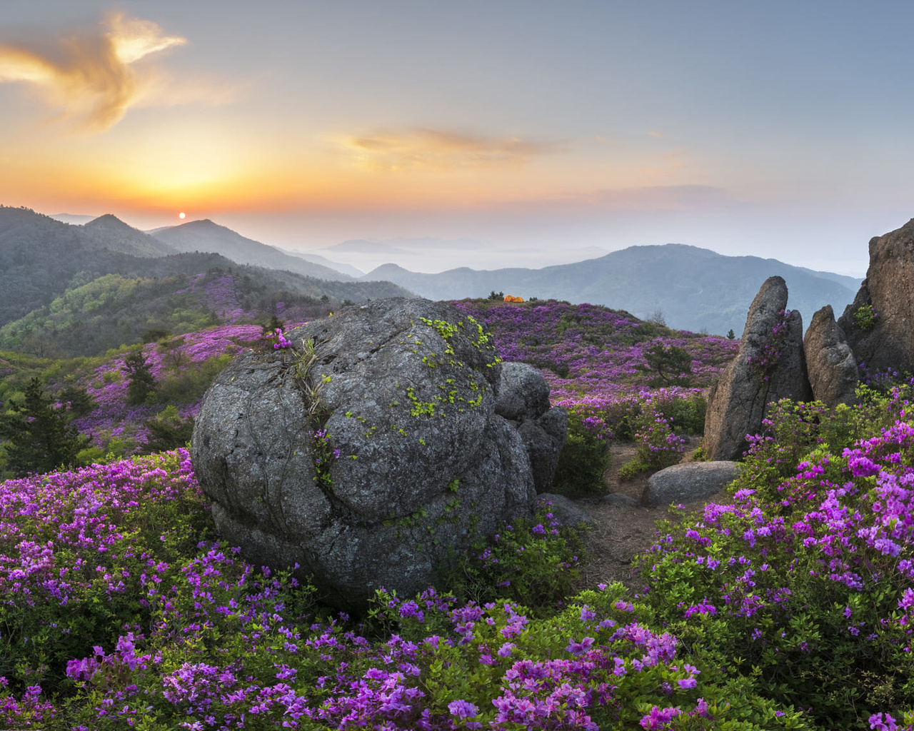 , , , , , , , , , , , , , , , jae youn ryu