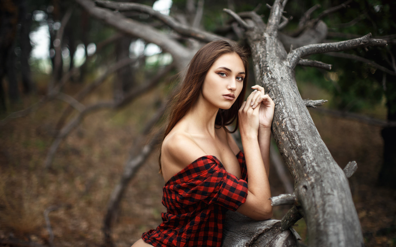 women, portrait, trees, plaid shirt, boobs, long hair, women outdoors,   ,sergey sorokin