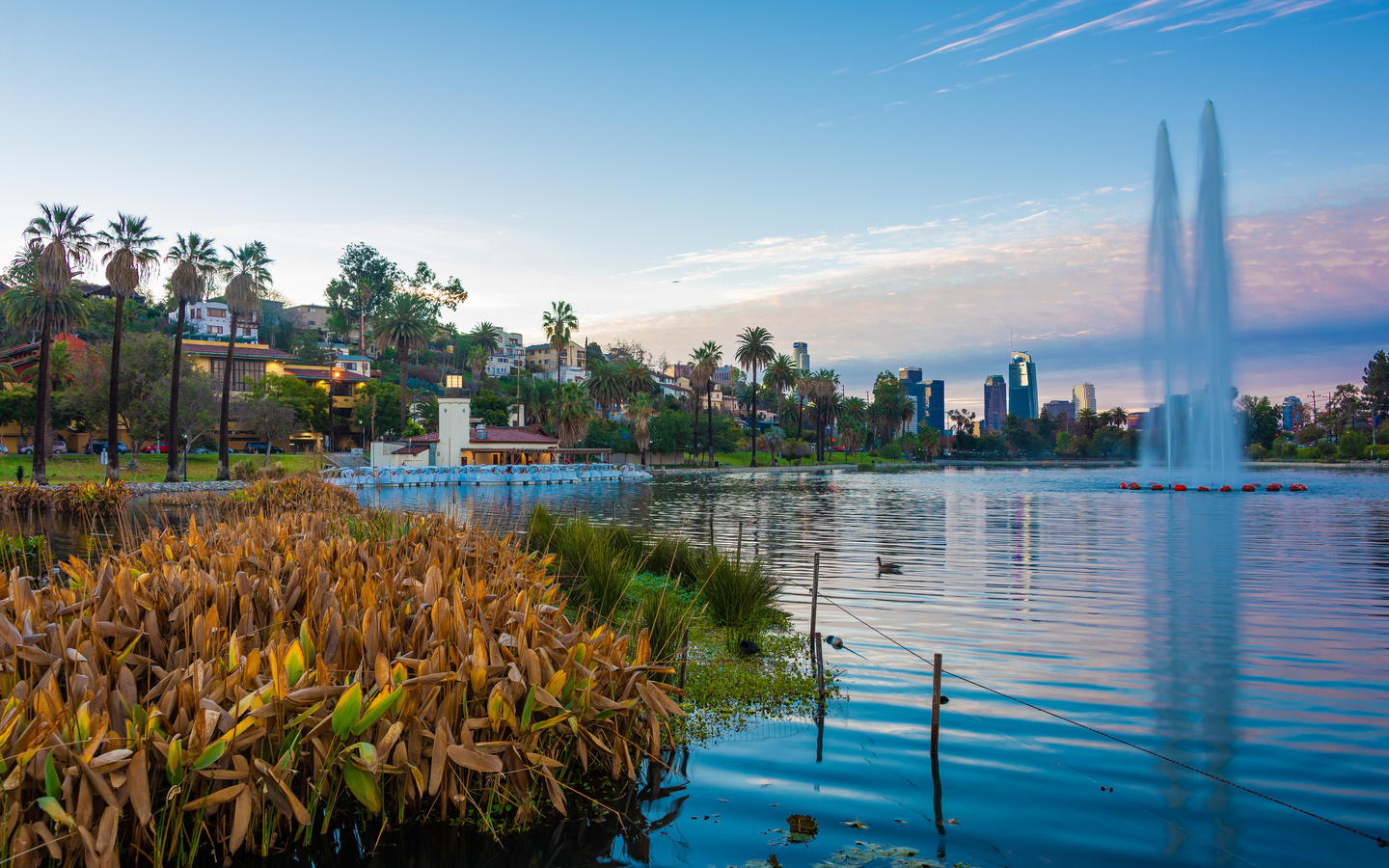 , , , , echo park lake, -, 