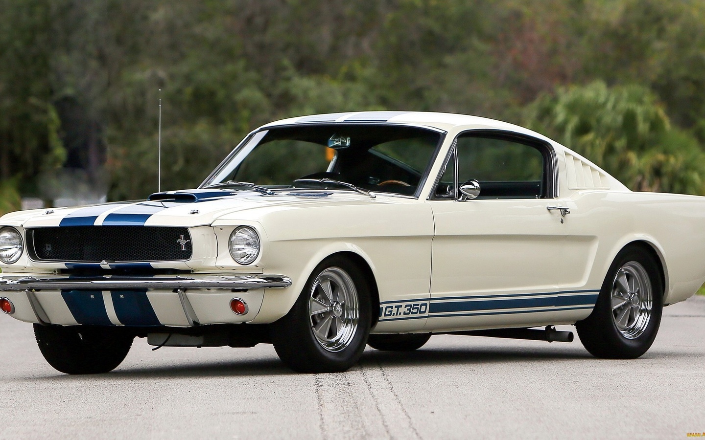 american, classic, car, ford, mustang, gt350