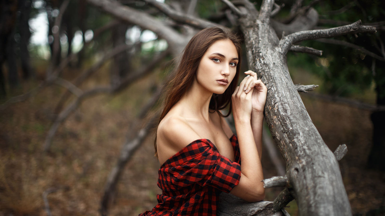 women, portrait, trees, plaid shirt, boobs, long hair, women outdoors,   ,sergey sorokin