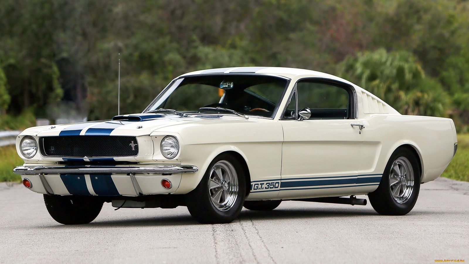 american, classic, car, ford, mustang, gt350