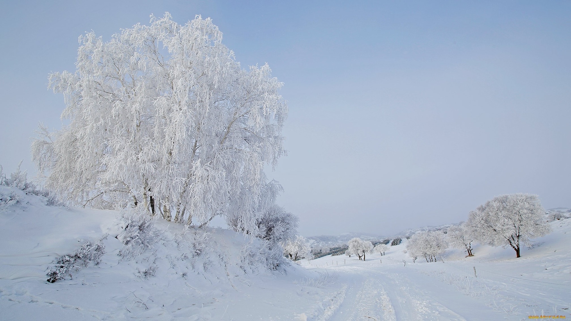 Иней фото для детей