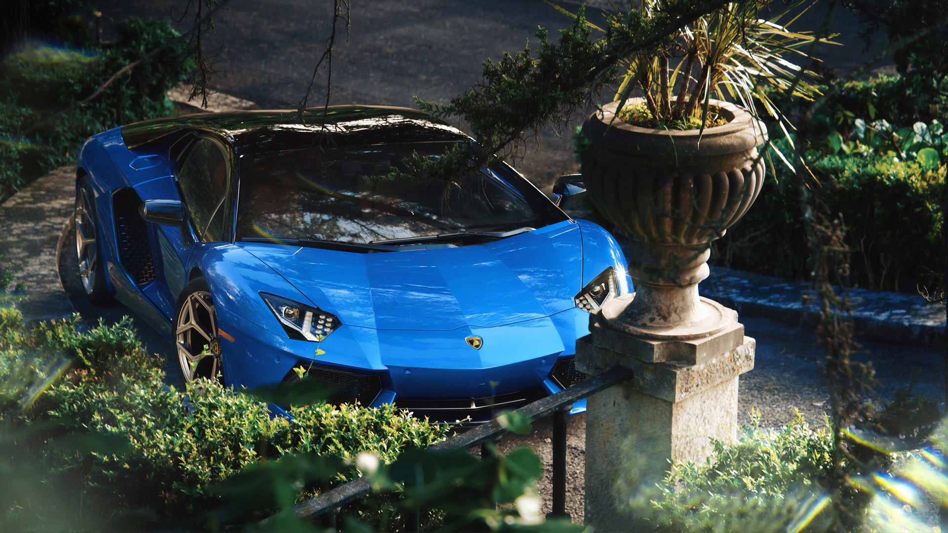 blue, aventador