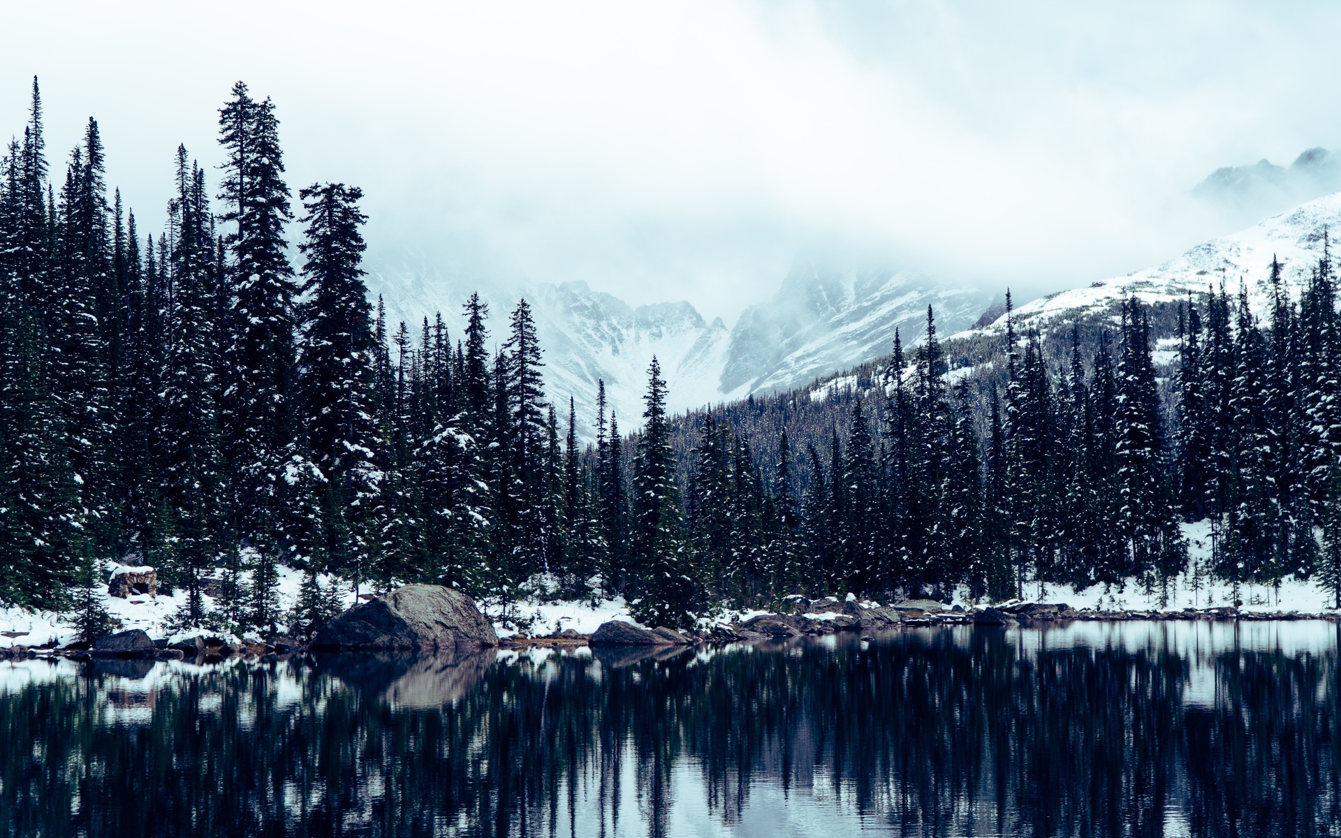 jasper, national park, alberta, canada