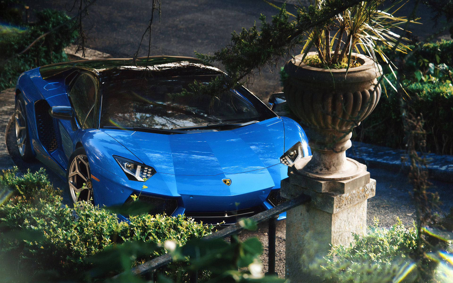 blue, aventador