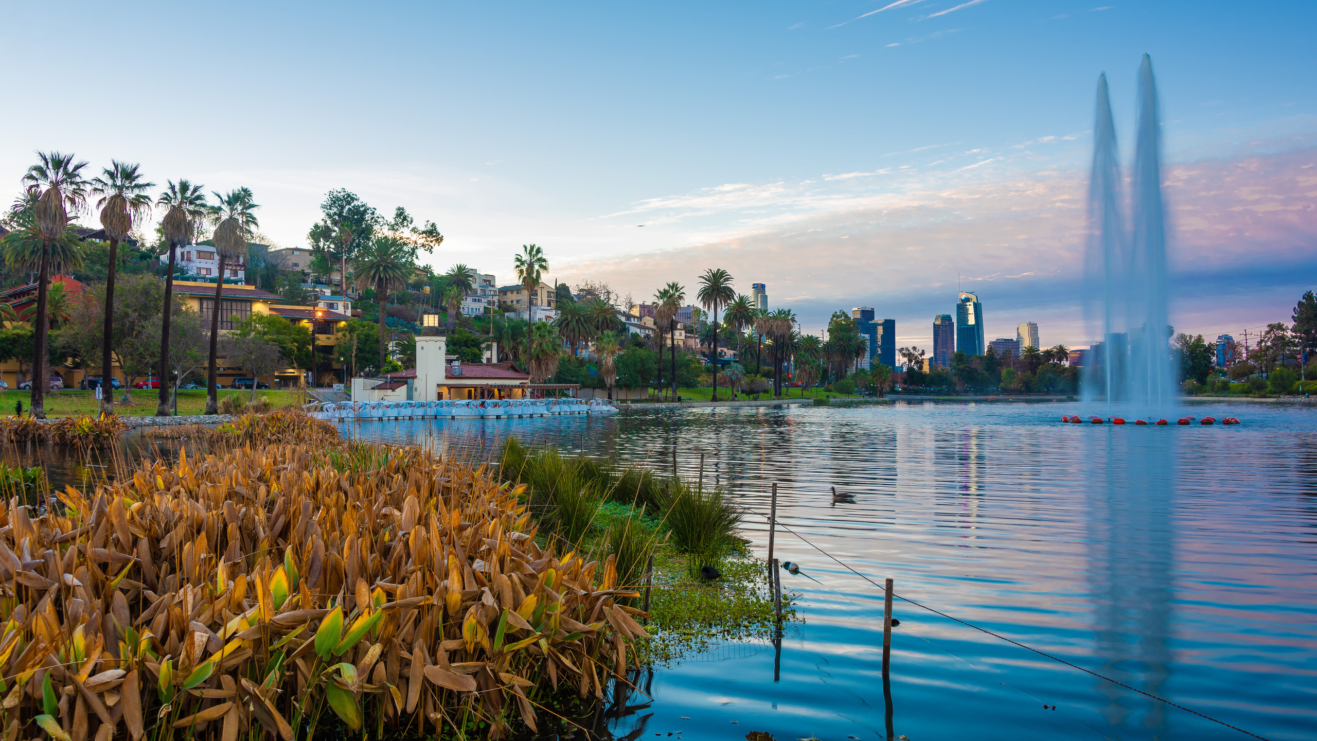 , , , , echo park lake, -, 