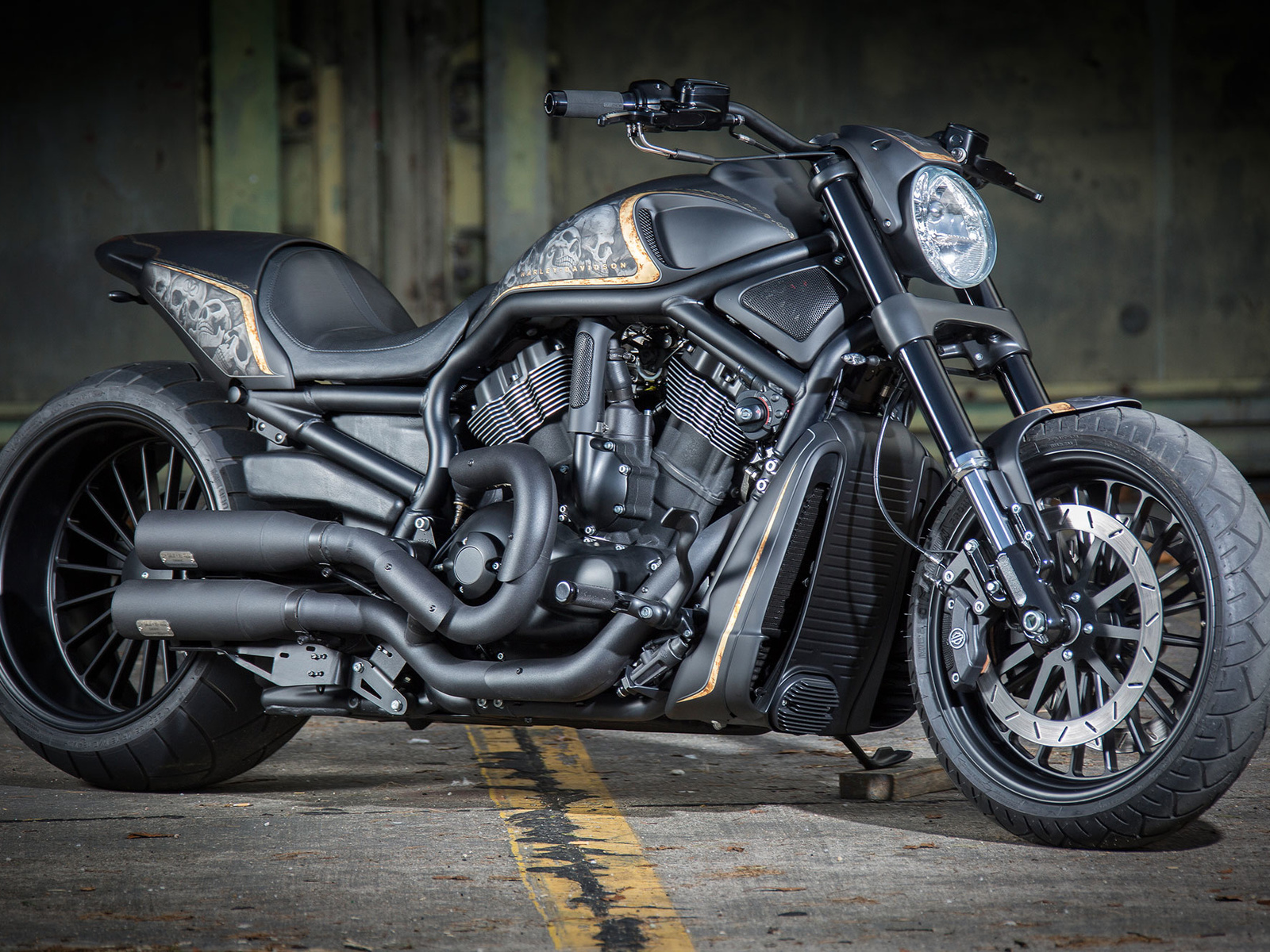 harley-davidson, vrscdx, night rod, specia