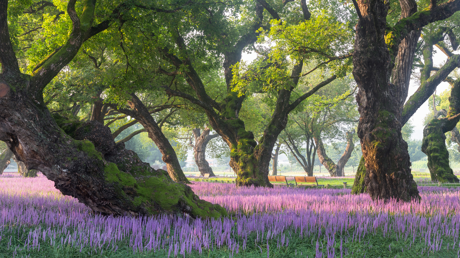 , , , jae youn ryu, , ,  , 