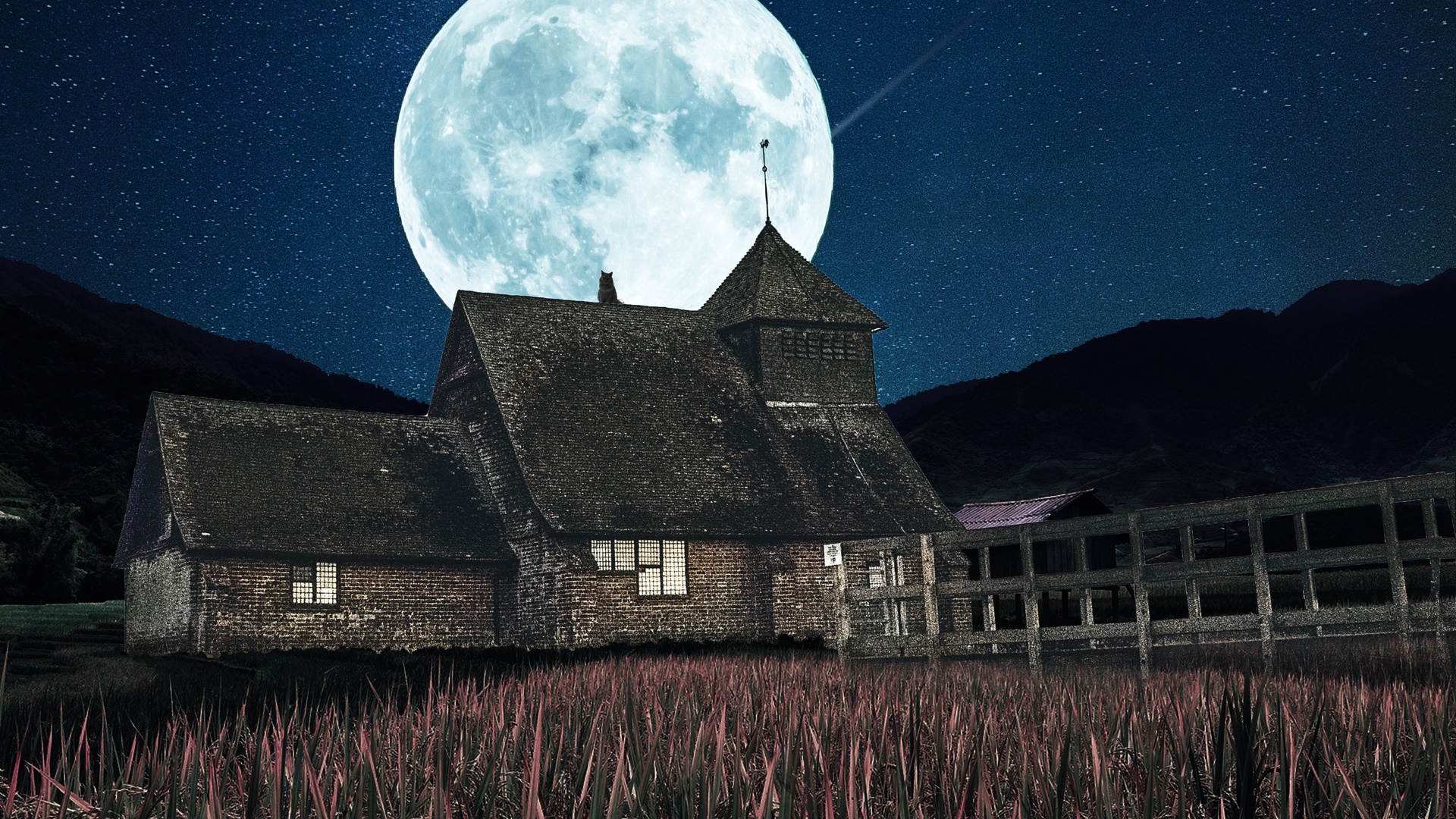 The night house