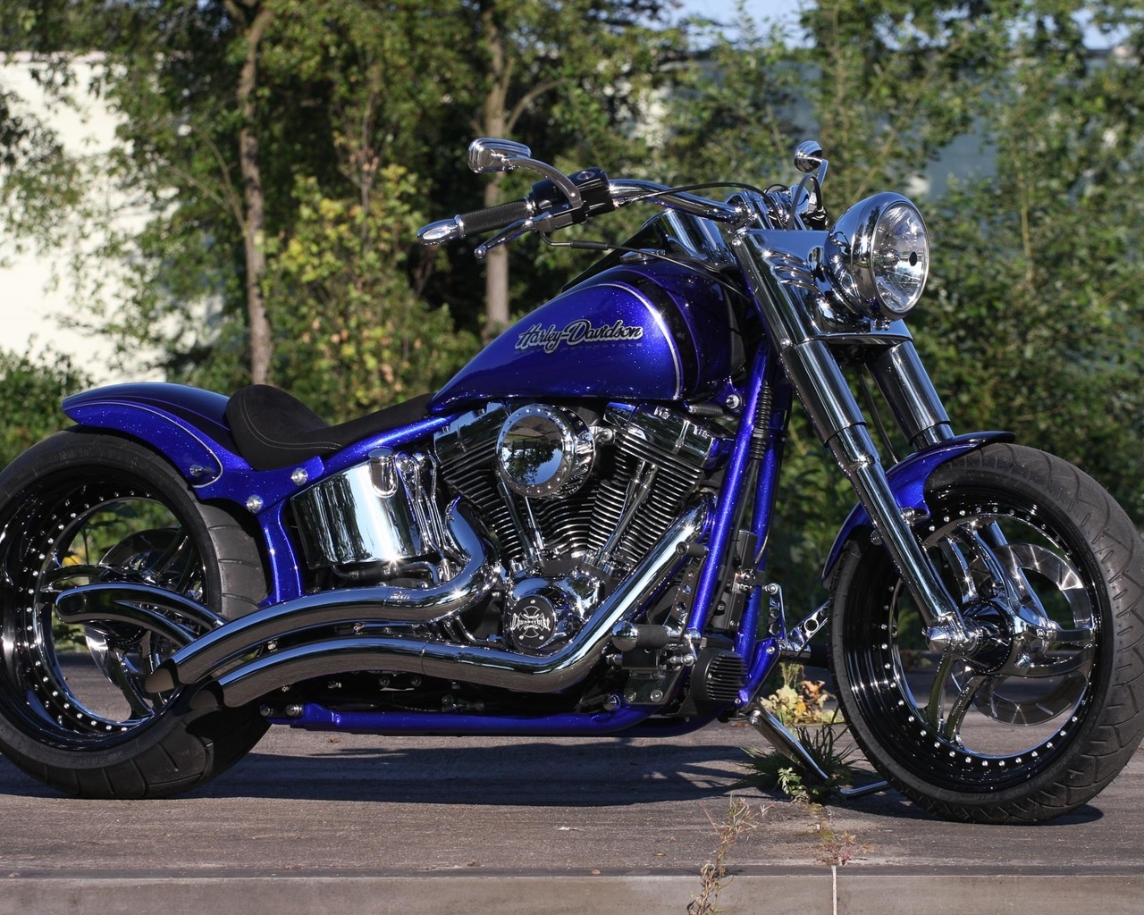 harley davidson, , 