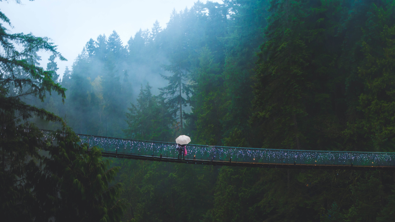 capilano, suspension bridge, west vancouver, canada