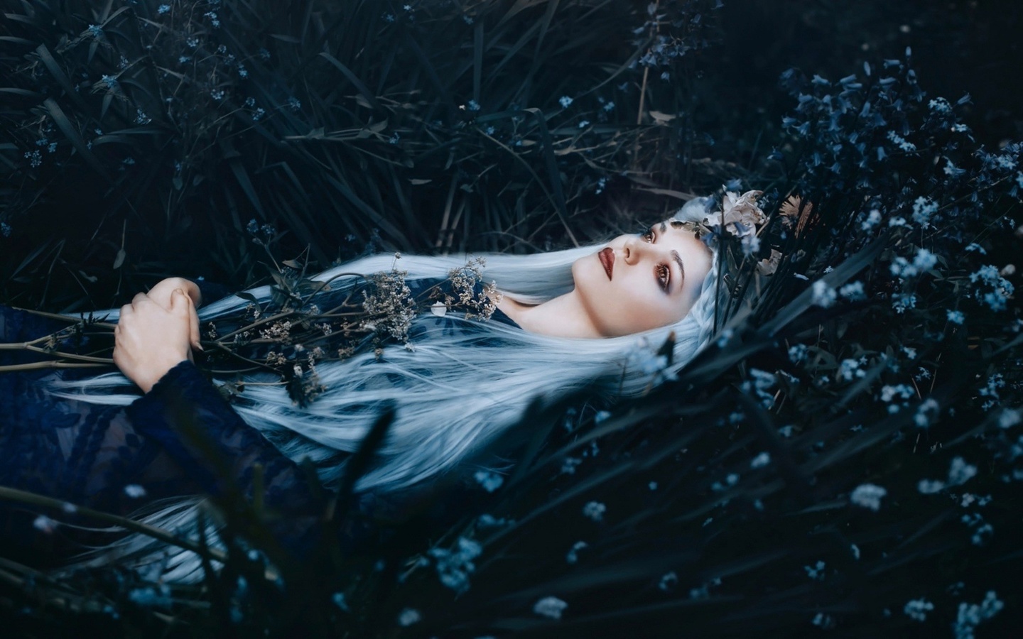 bella kotak, , a river flows in you, 