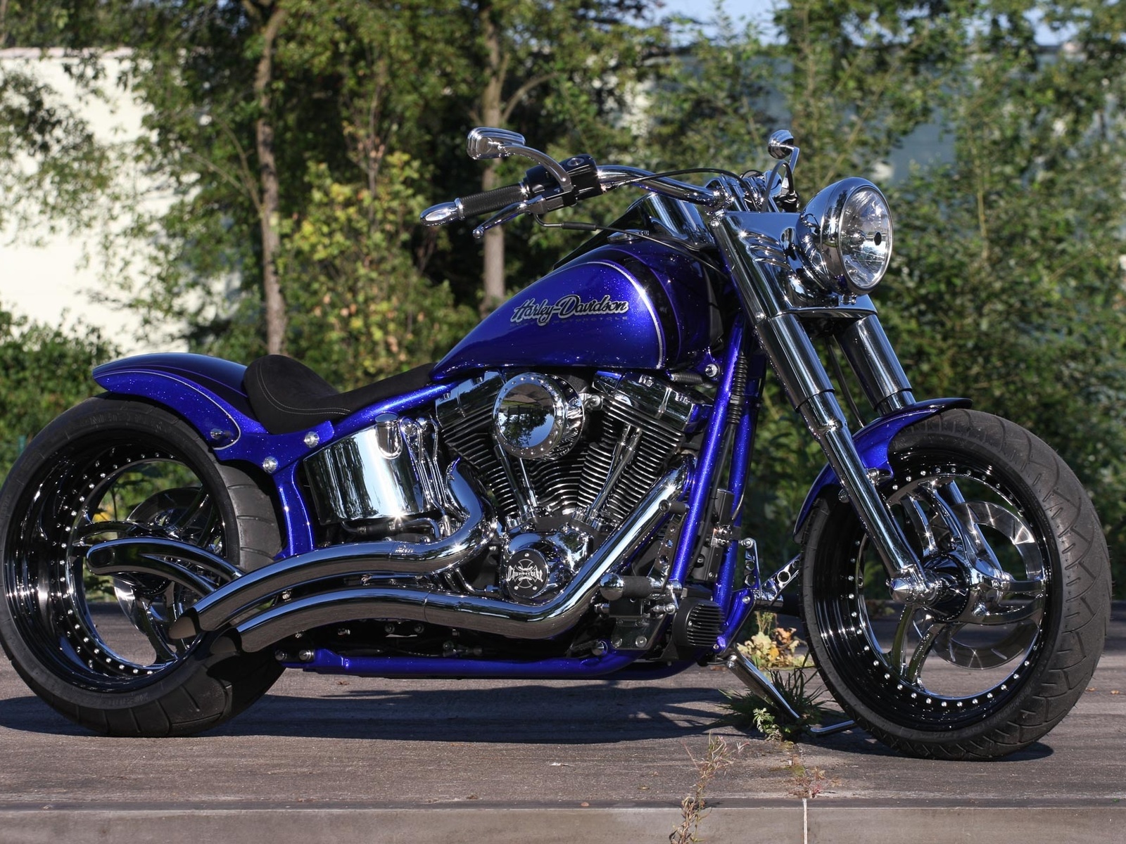 harley davidson, , 