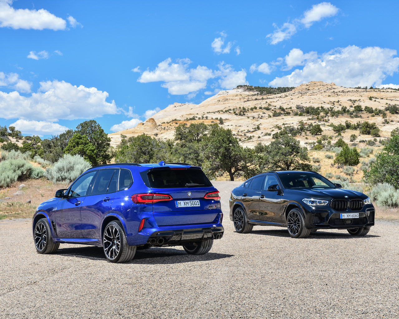 bmw, x5m, x6m