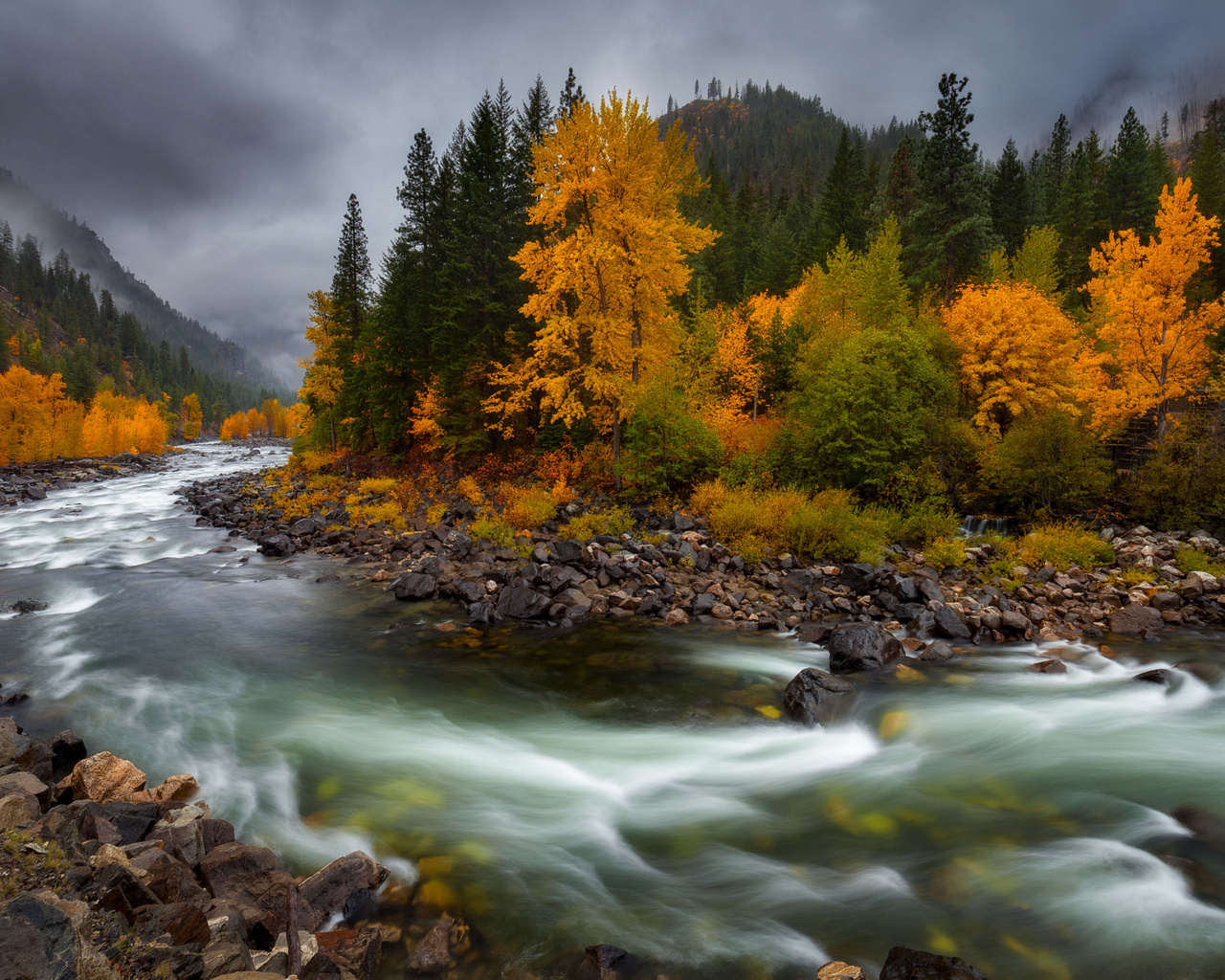 , , doug shearer, , , , 