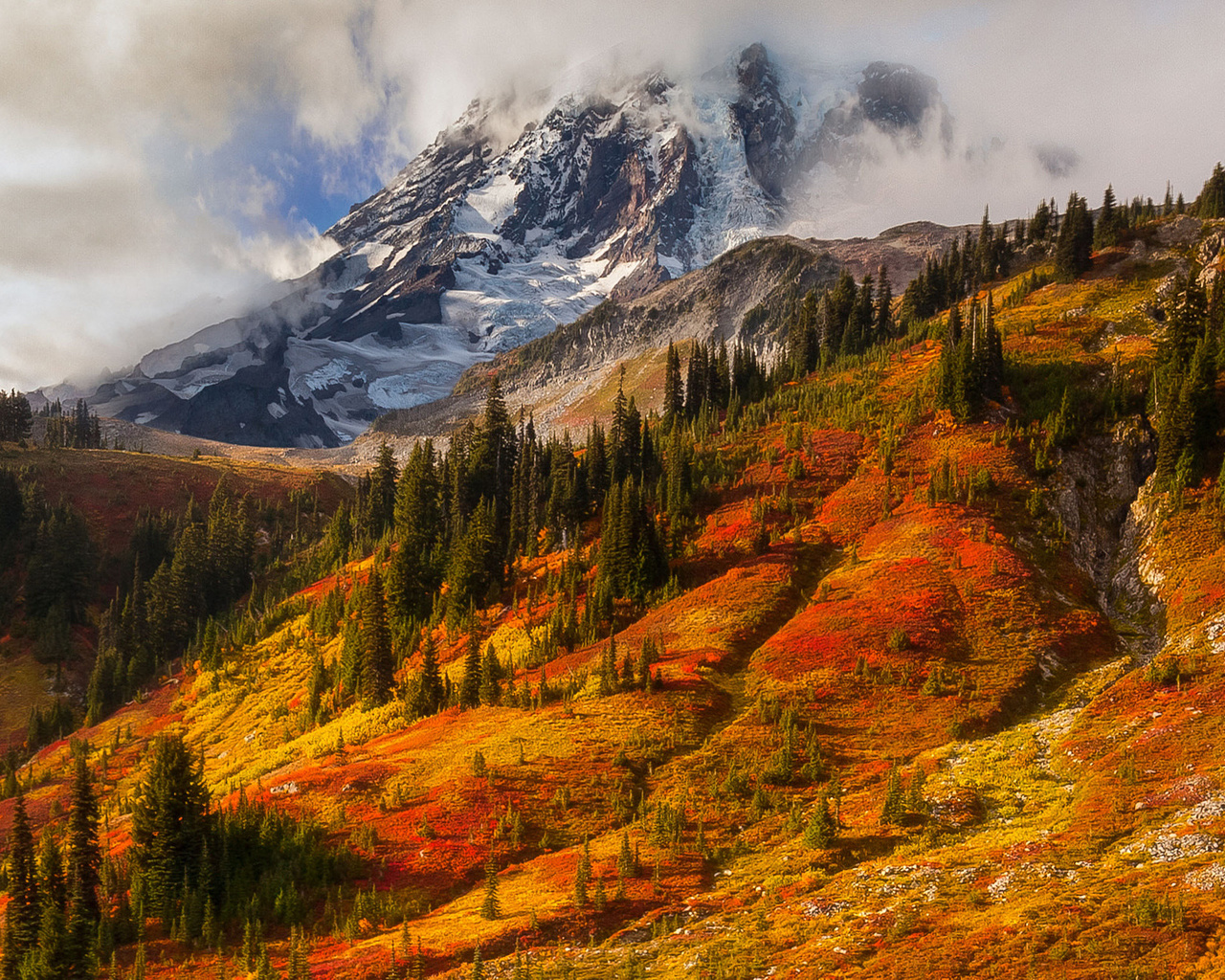 , doug shearer, , ,  , mount rainier, , 