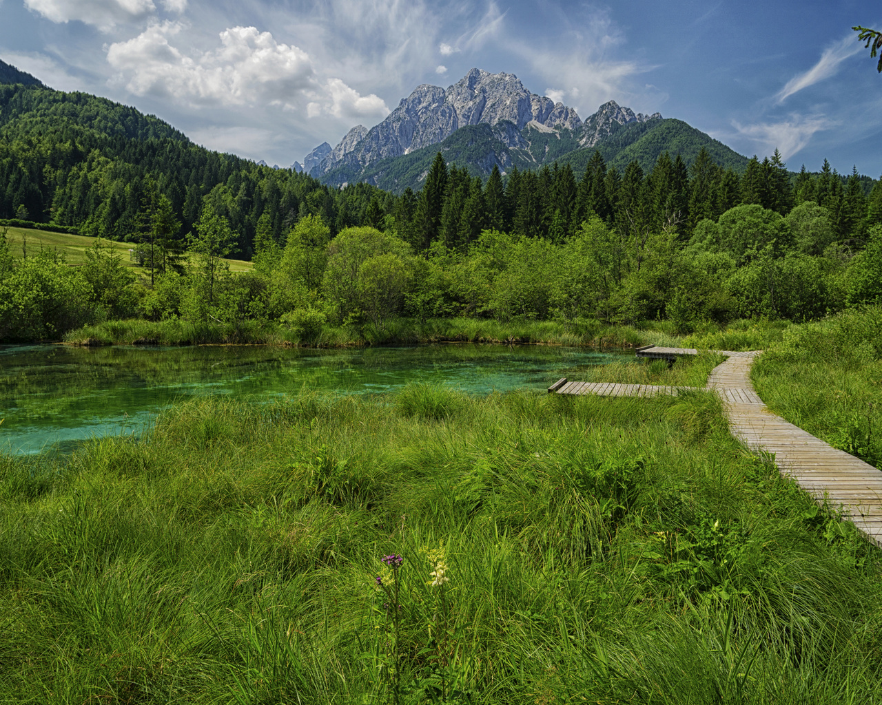 , , , , zelenci lake, , , 