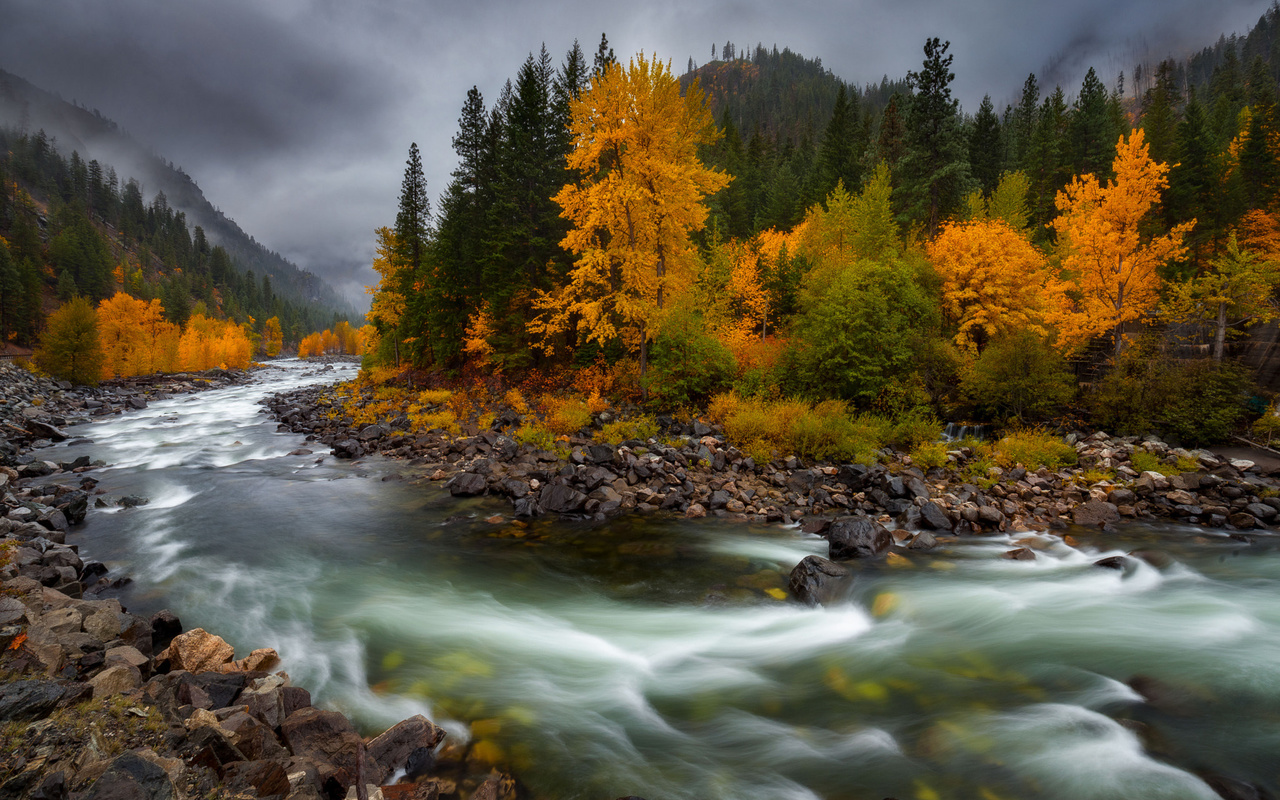 , , doug shearer, , , , 