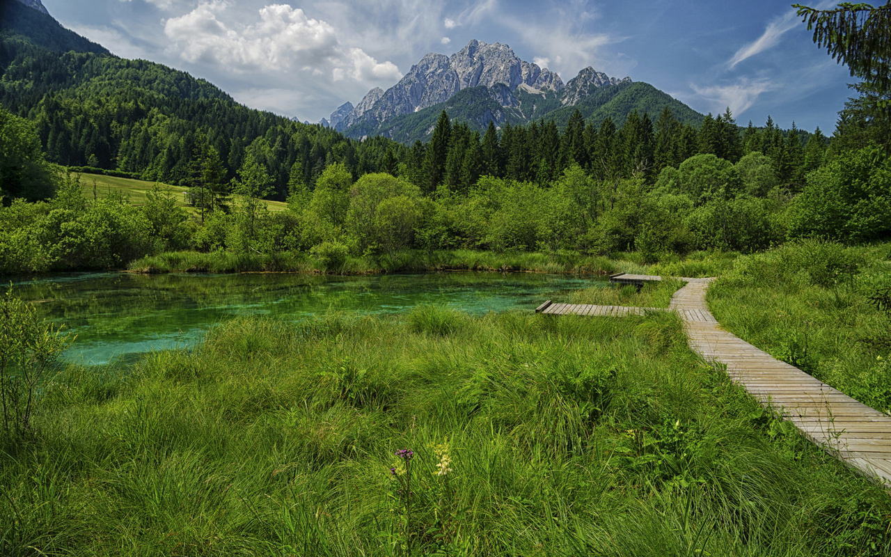 , , , , zelenci lake, , , 