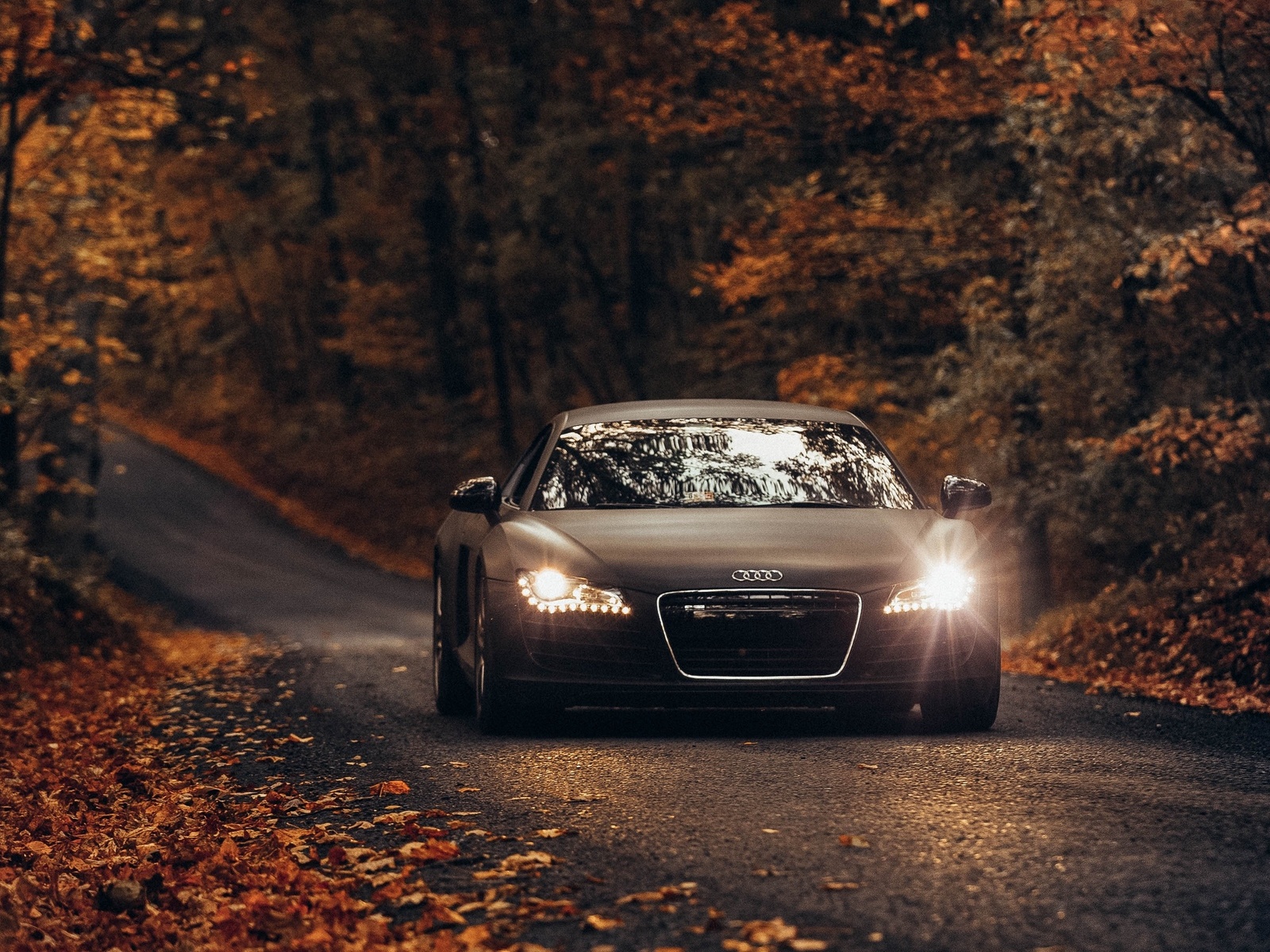 audi tt, , , 