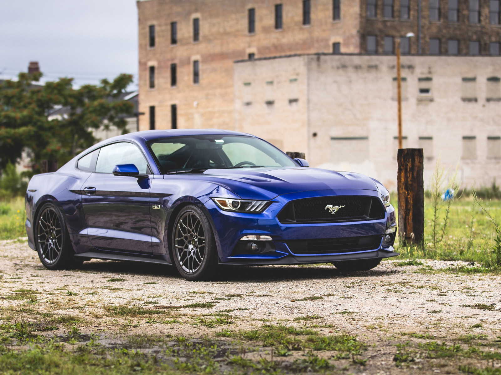 ford, mustang, blue sports coupe, blue