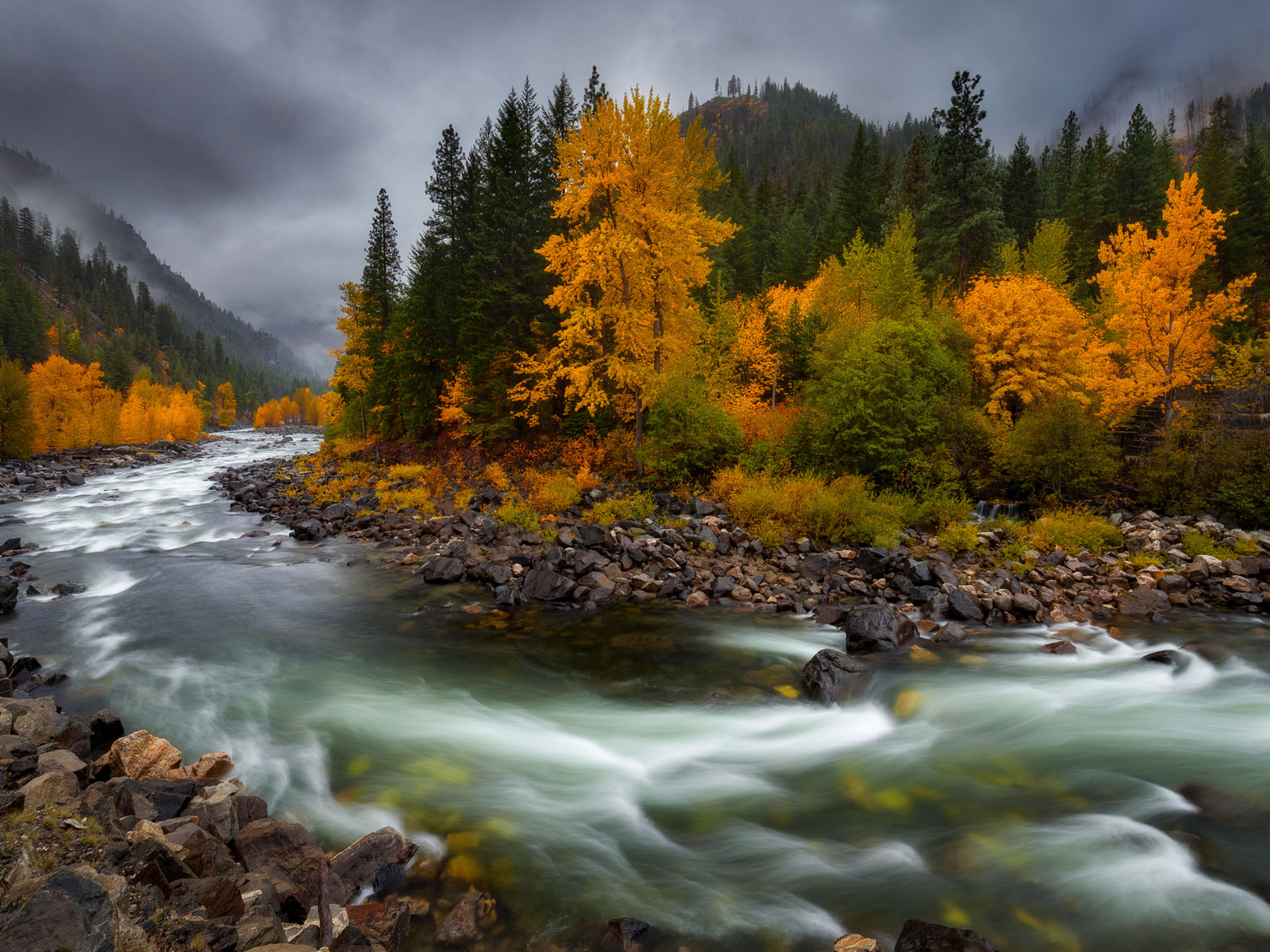 , , doug shearer, , , , 