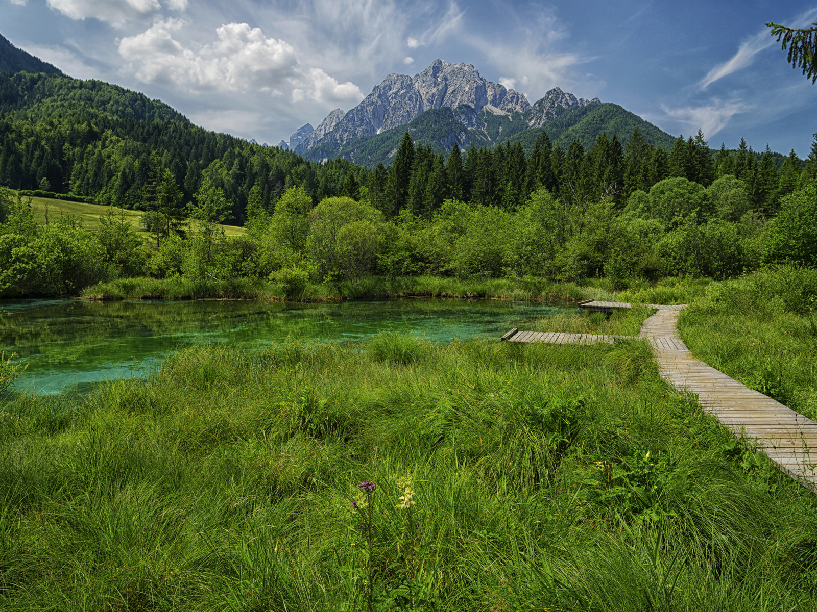 , , , , zelenci lake, , , 