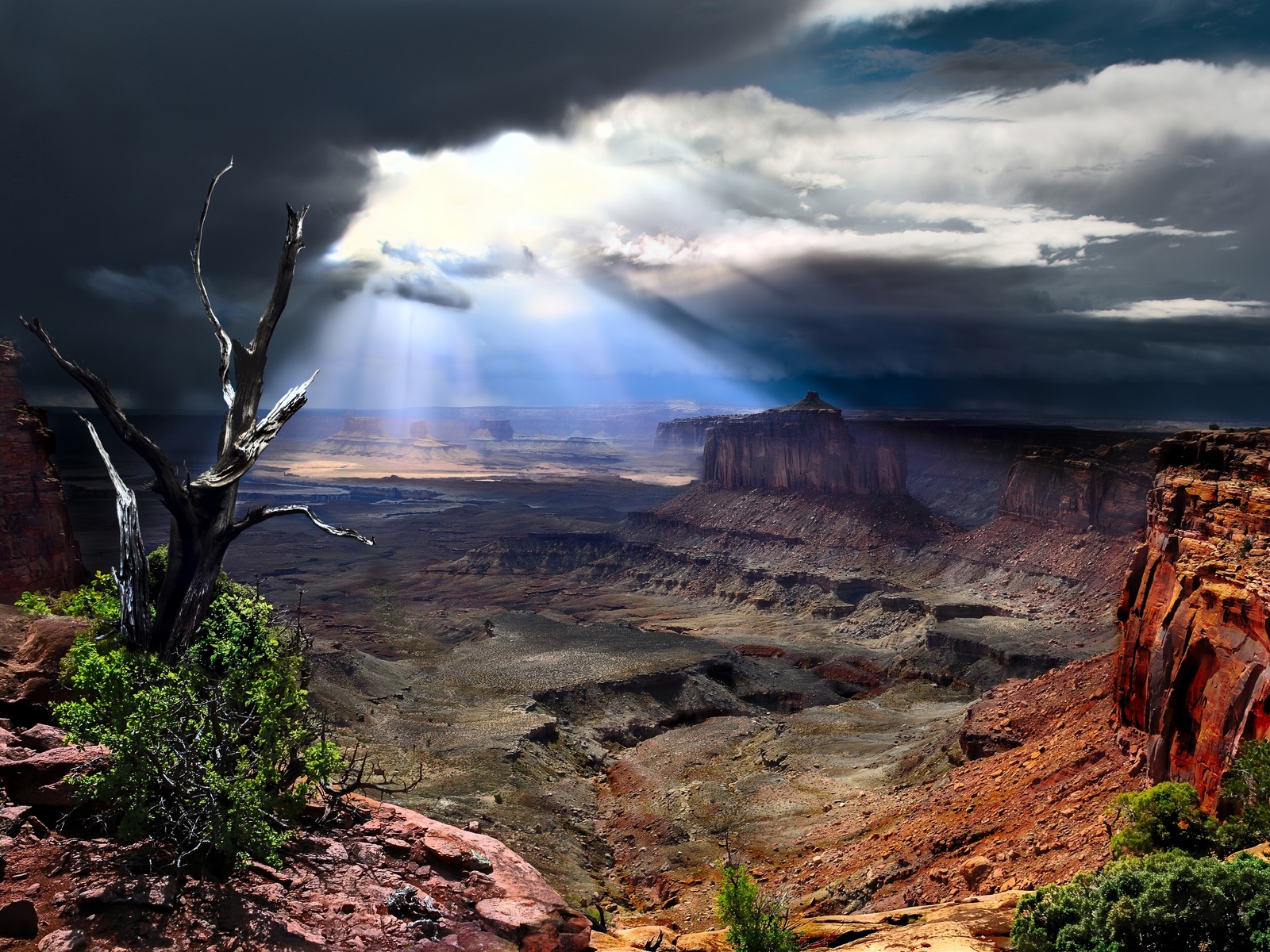 canyonlands national park, utah, , 