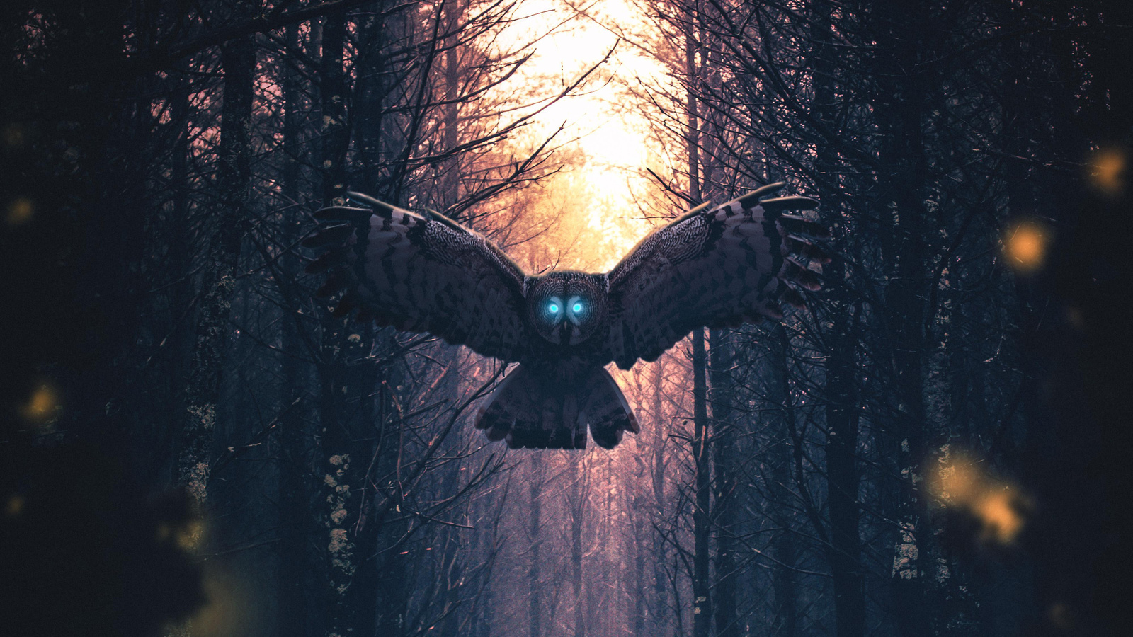  , owl, artwork