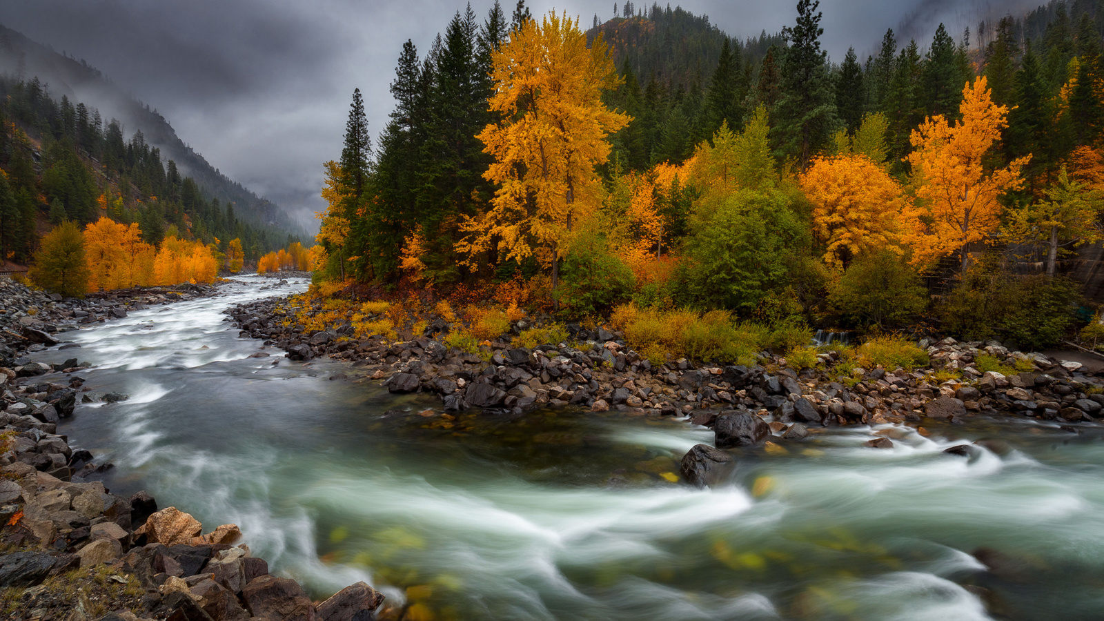 , , doug shearer, , , , 