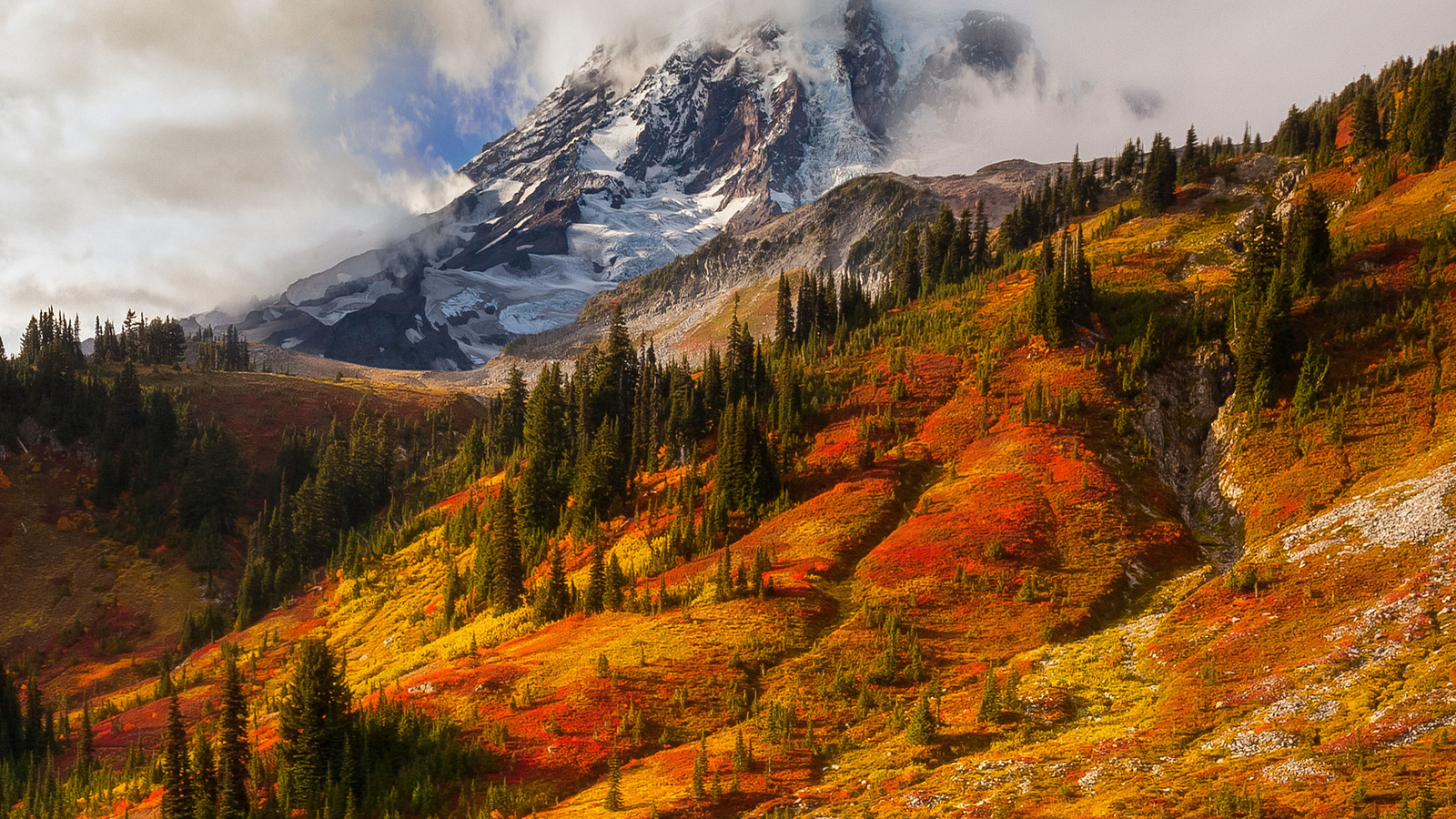 , doug shearer, , ,  , mount rainier, , 