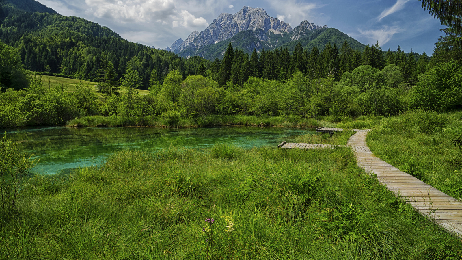 , , , , zelenci lake, , , 