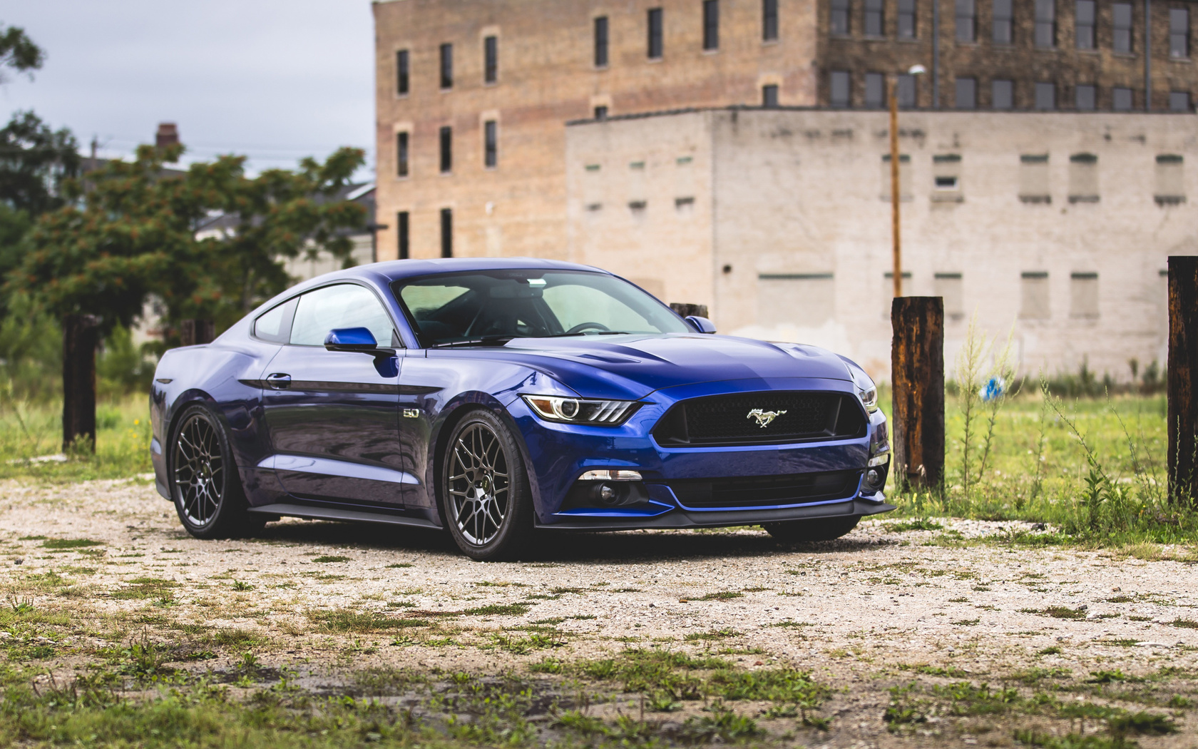 ford, mustang, blue sports coupe, blue