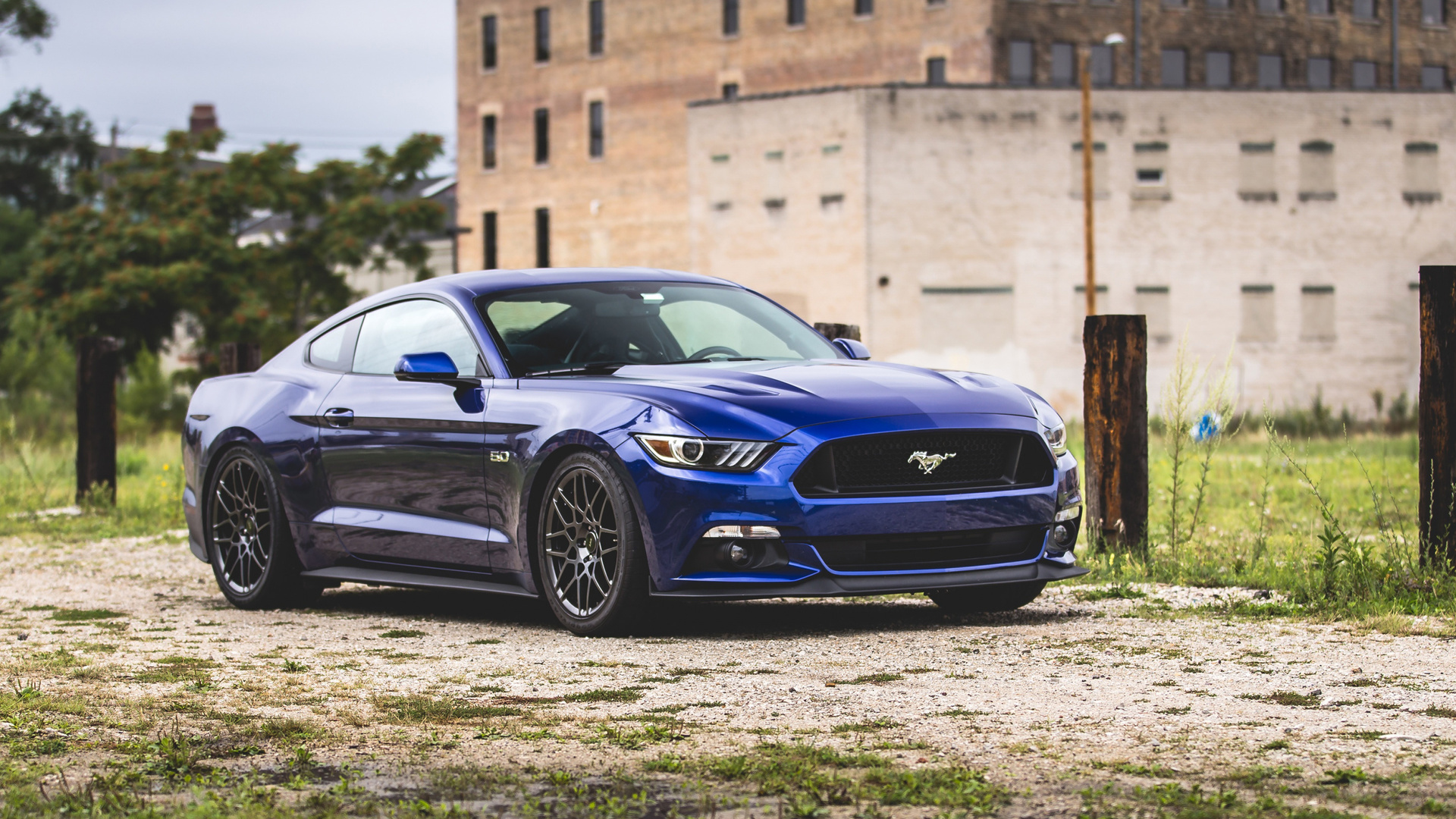 ford, mustang, blue sports coupe, blue