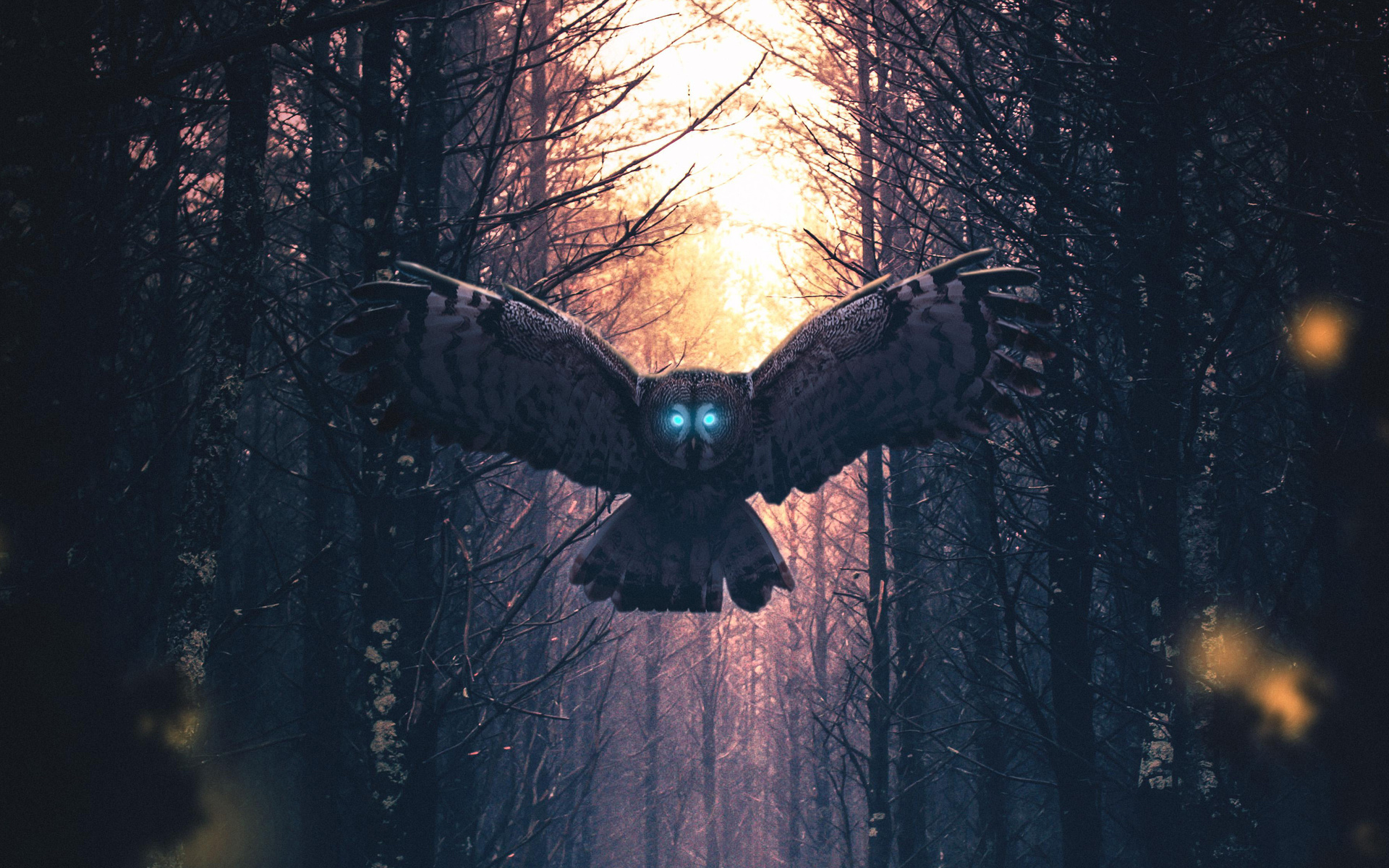  , owl, artwork