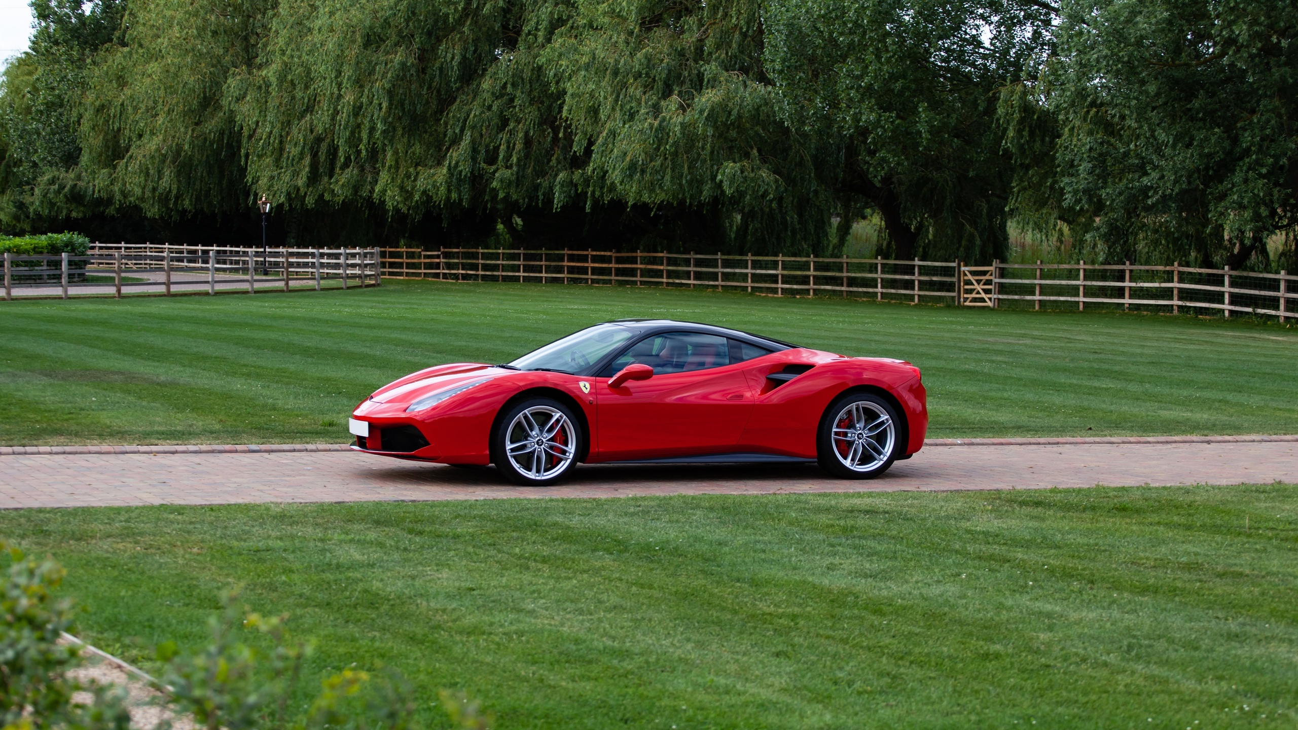 Две феррари. Ferrari 488. Ferrari 296 GTB. Тюльпан Феррари. Ferrari 488 фото.