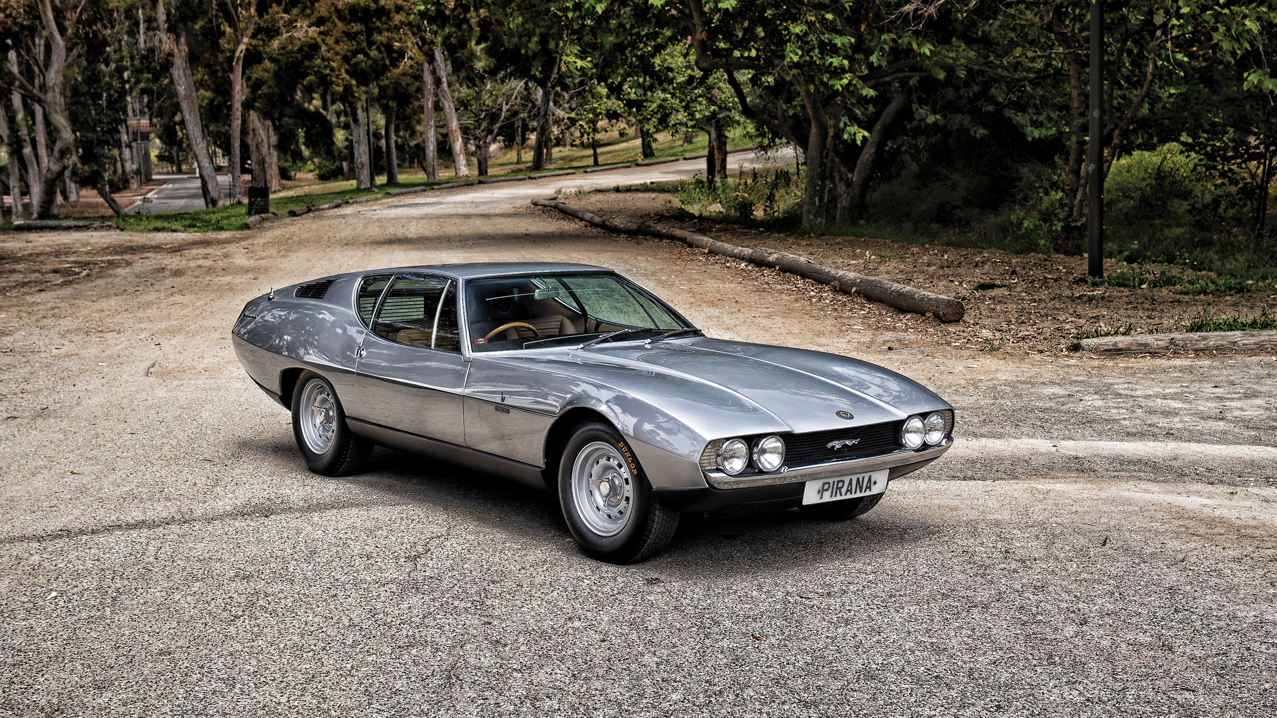 jaguar, pirana, bertone, 1967