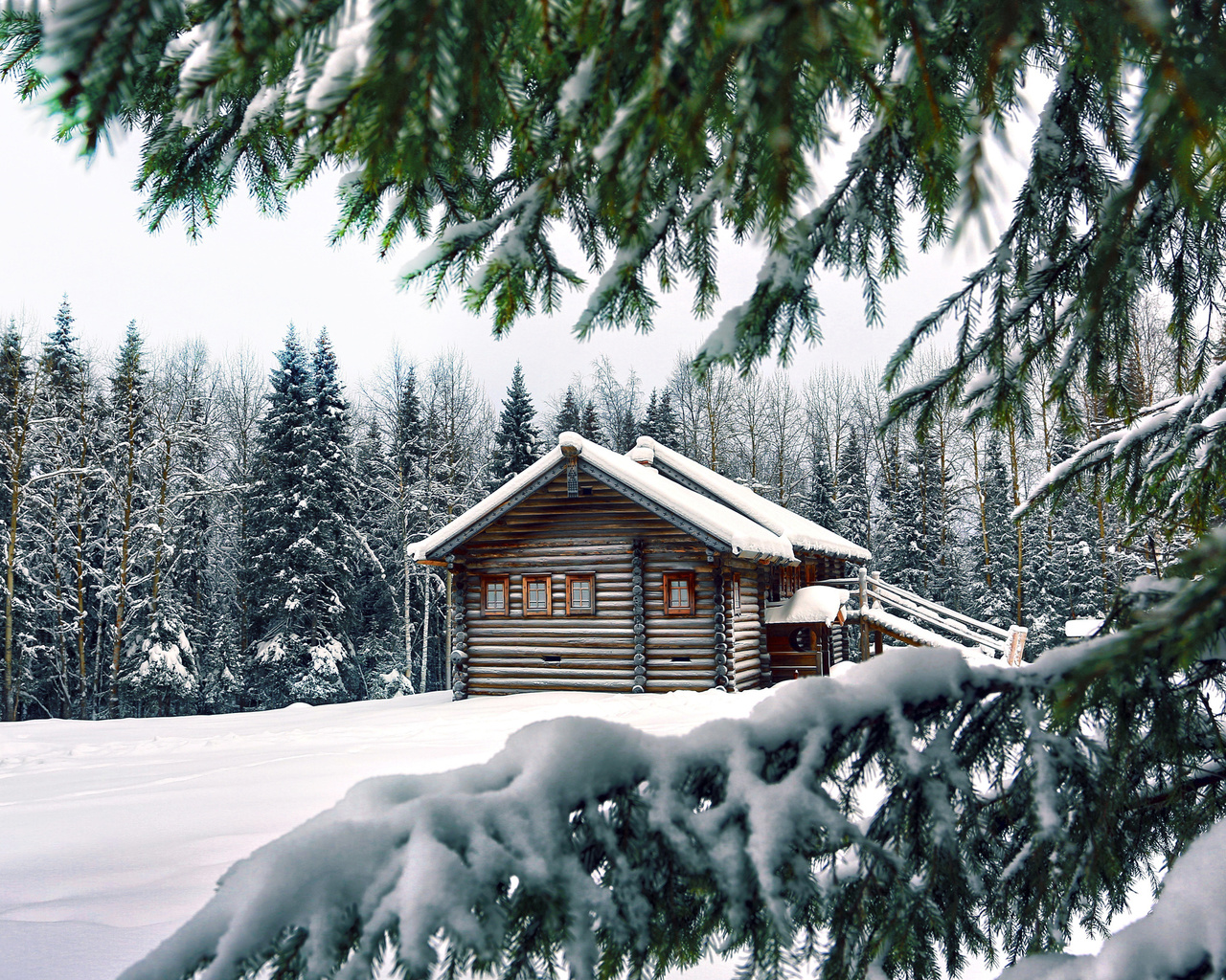 house, needles, pine, snow