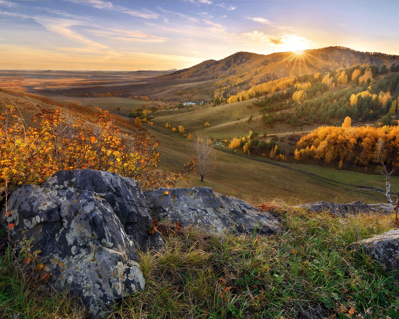 Алтайский заре