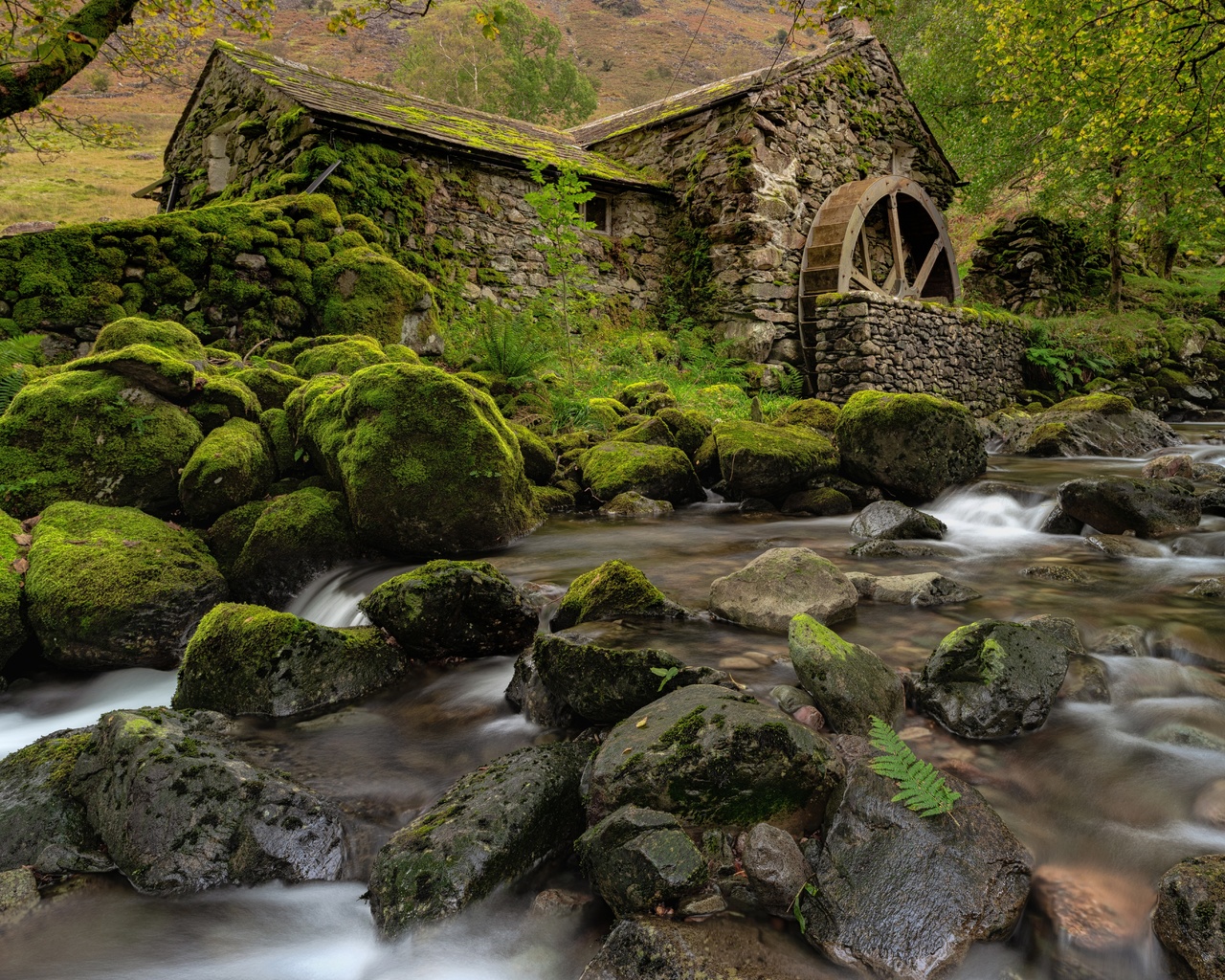 , , cumbria, borrowdale valley, ,  , 