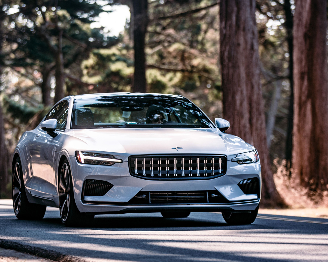 2021, polestar