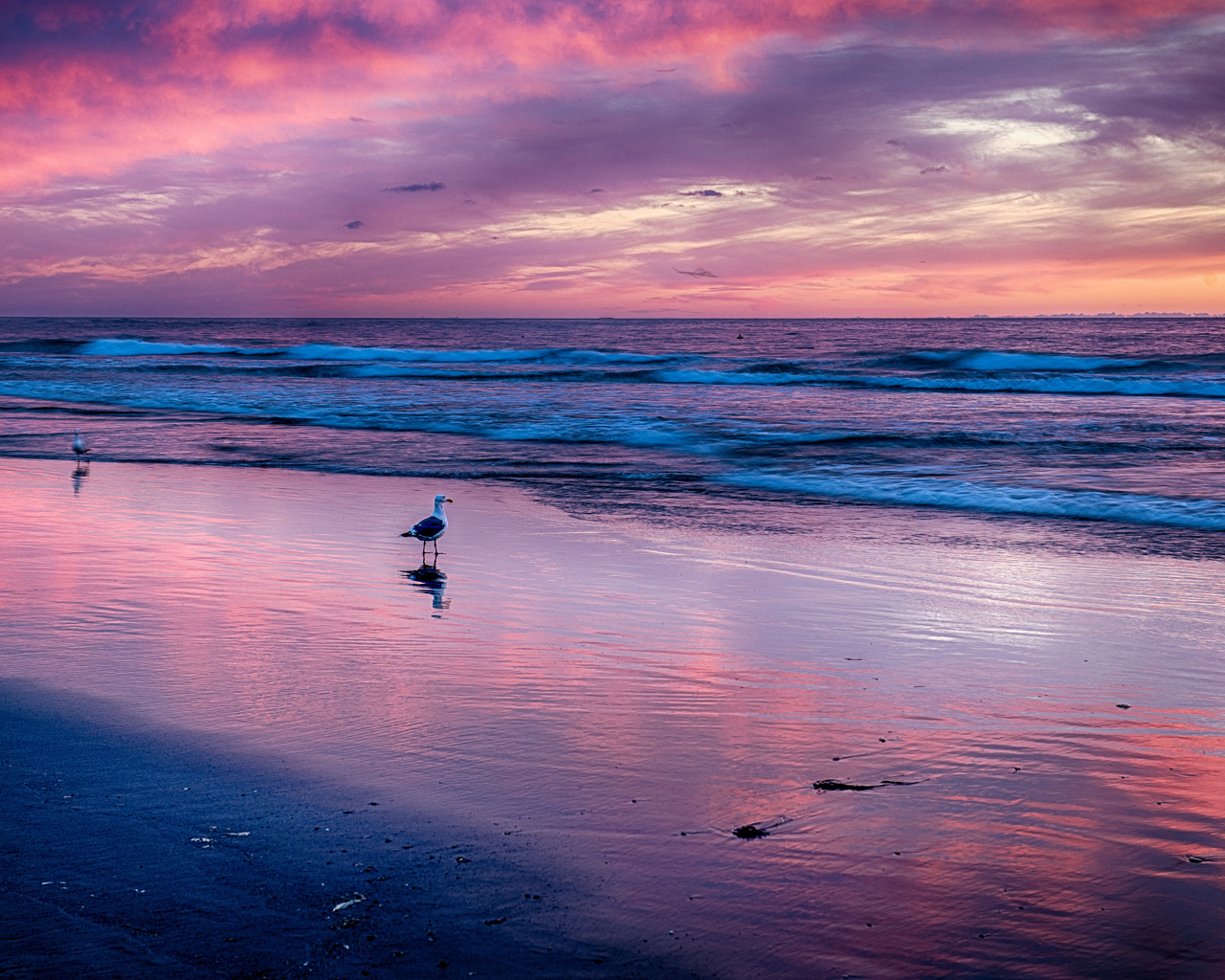 beach, sea, clouds, oregon