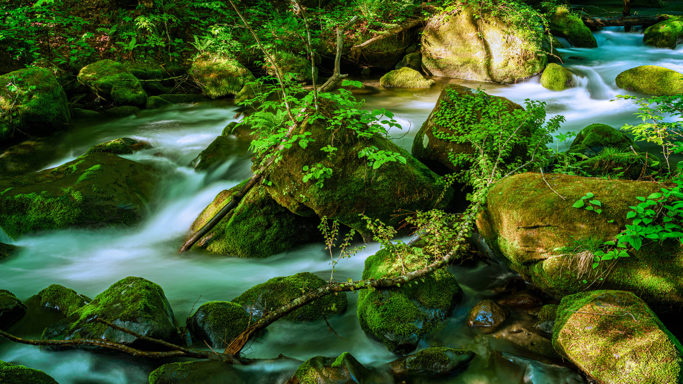 , , oirase mountain stream, towada, , , , 