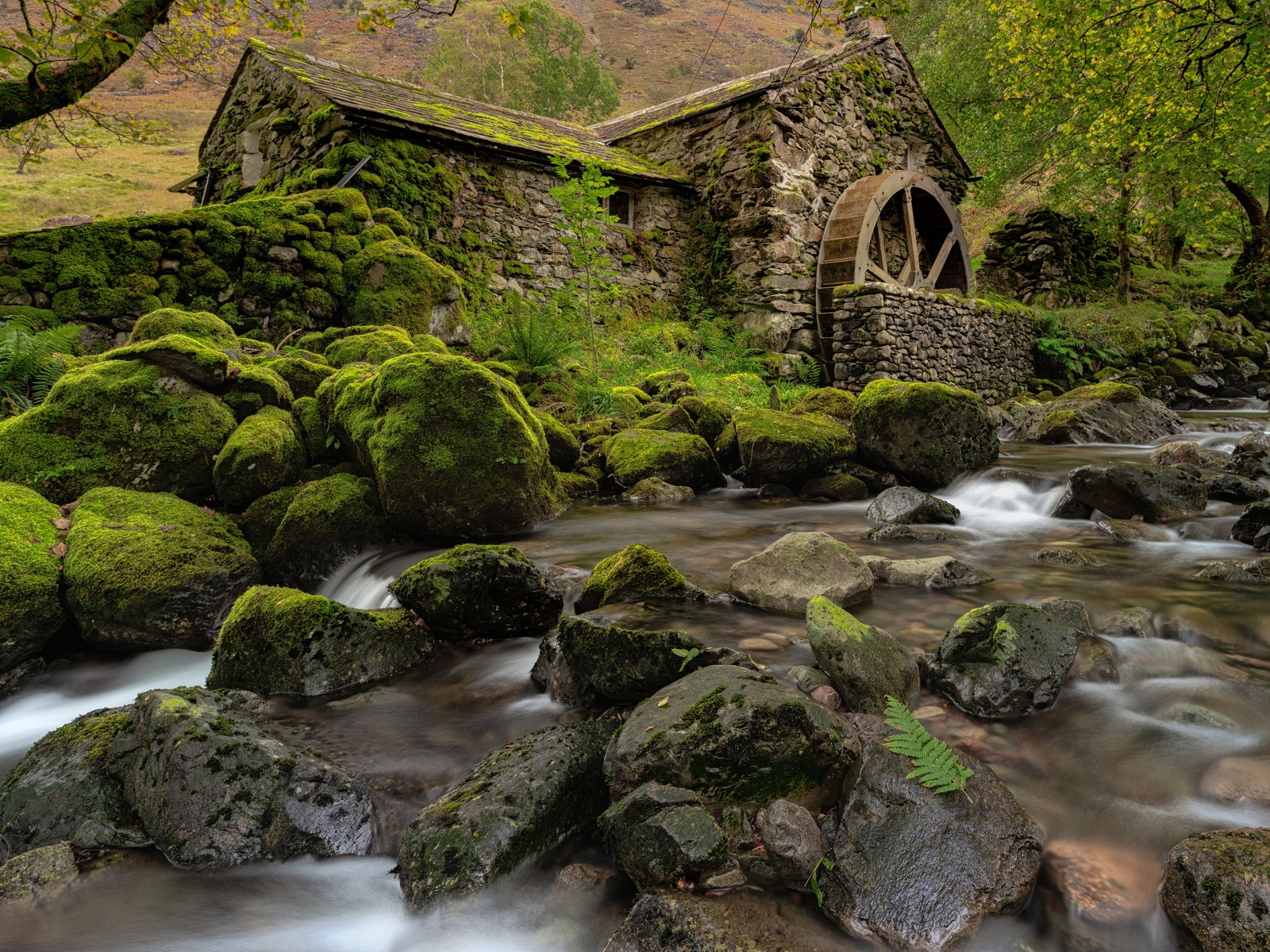 , , cumbria, borrowdale valley, ,  , 