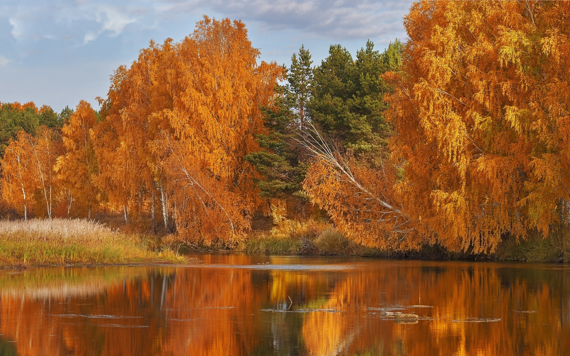 Золотая осень озеро природа река лес