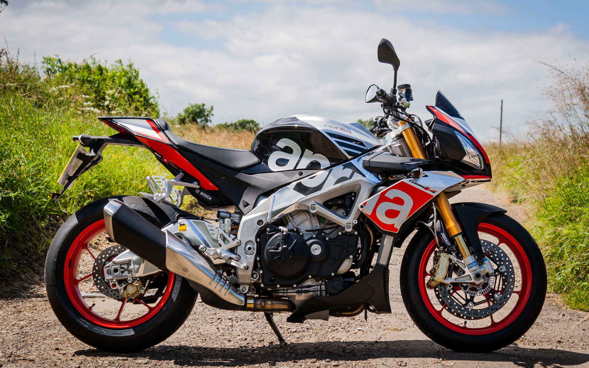 aprilia, tuono, v4, 1100, factory, 