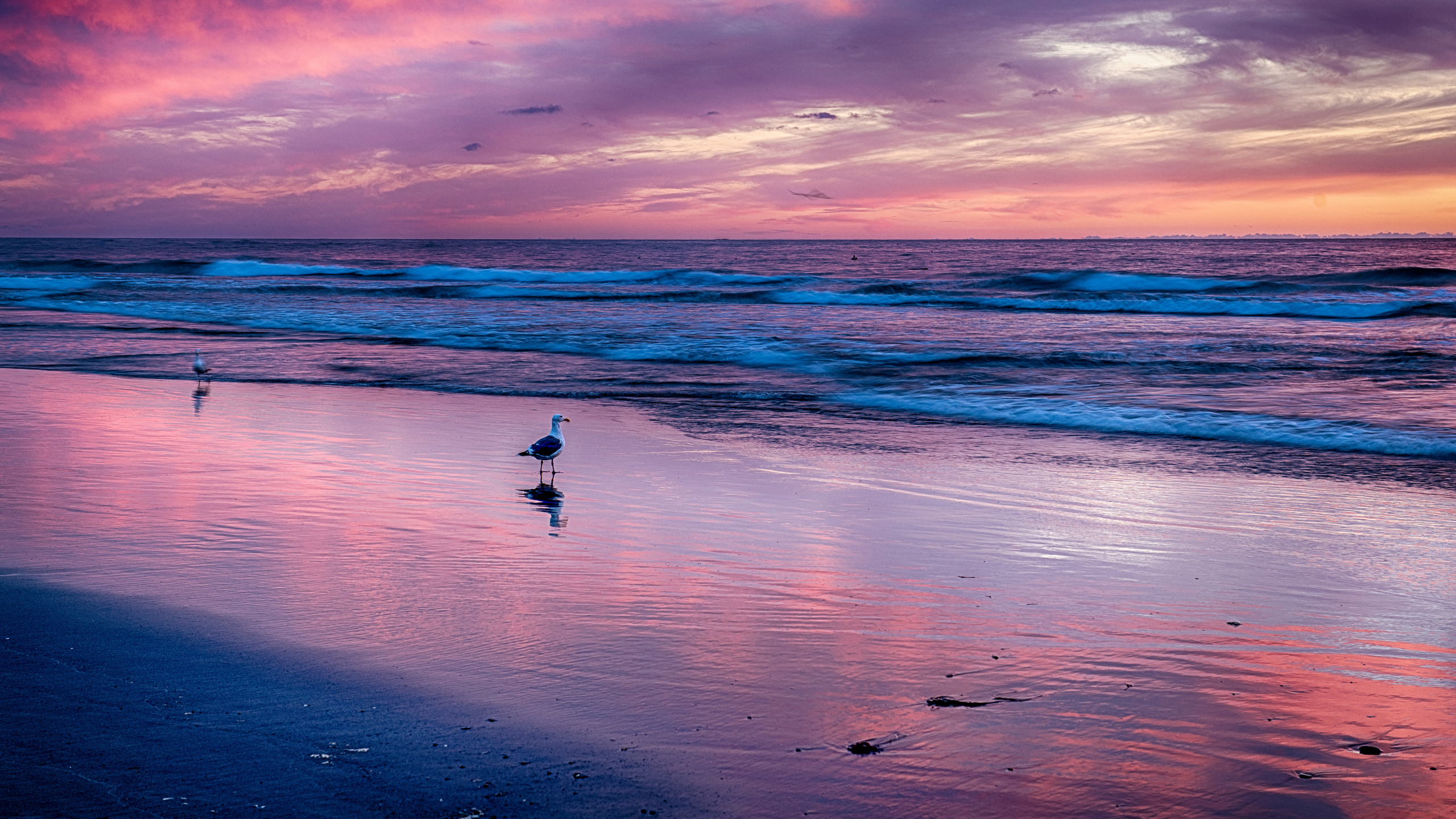 beach, sea, clouds, oregon