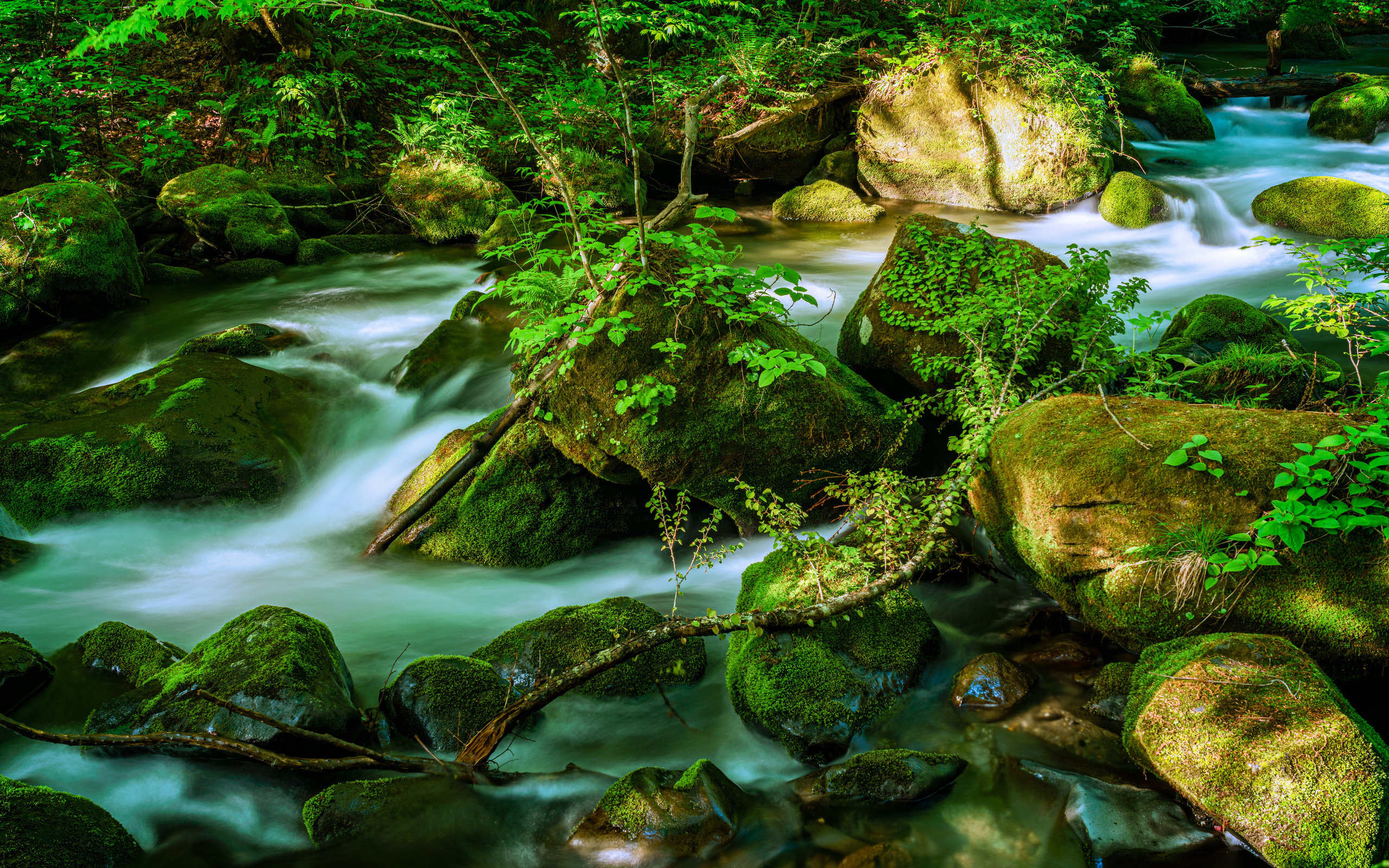 , , oirase mountain stream, towada, , , , 